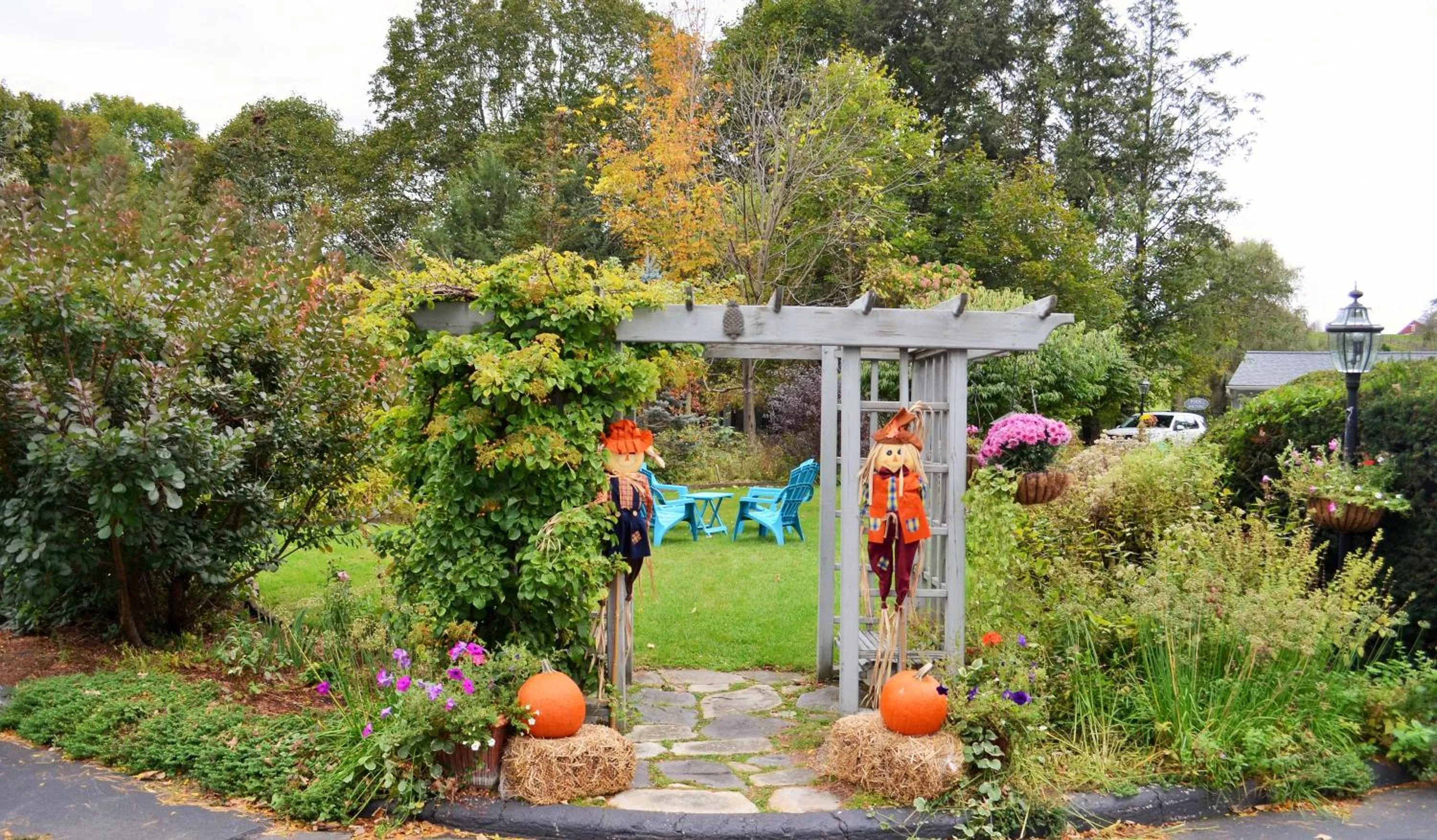 Garden in Maple Terrace Motel