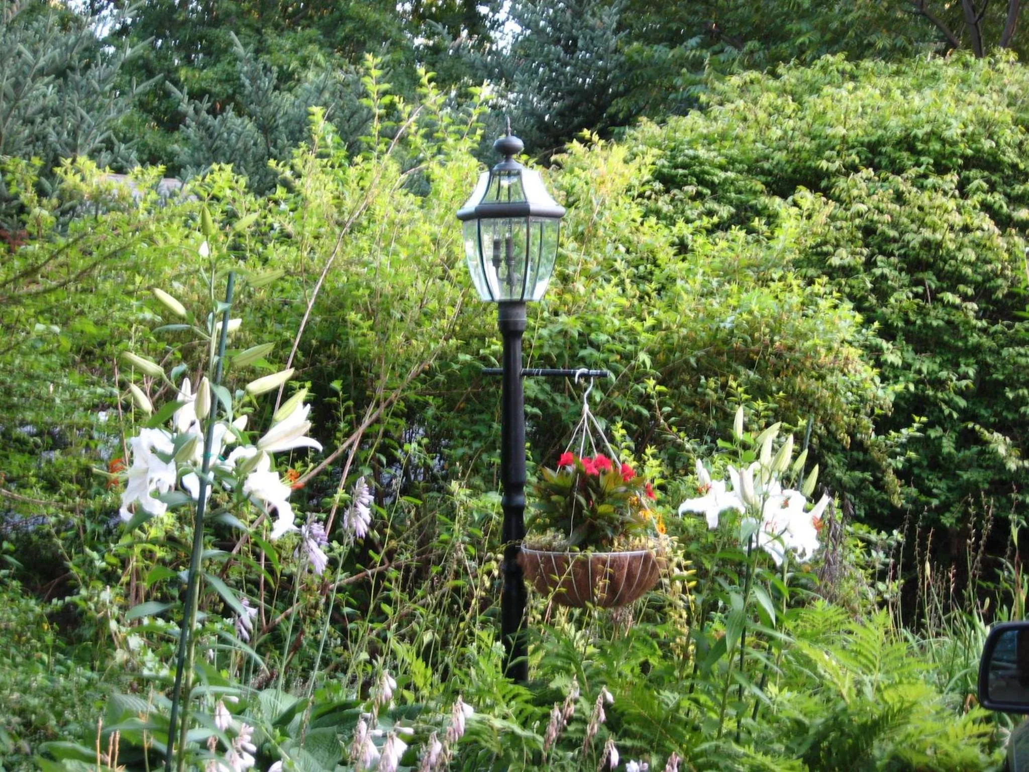 Garden in Maple Terrace Motel
