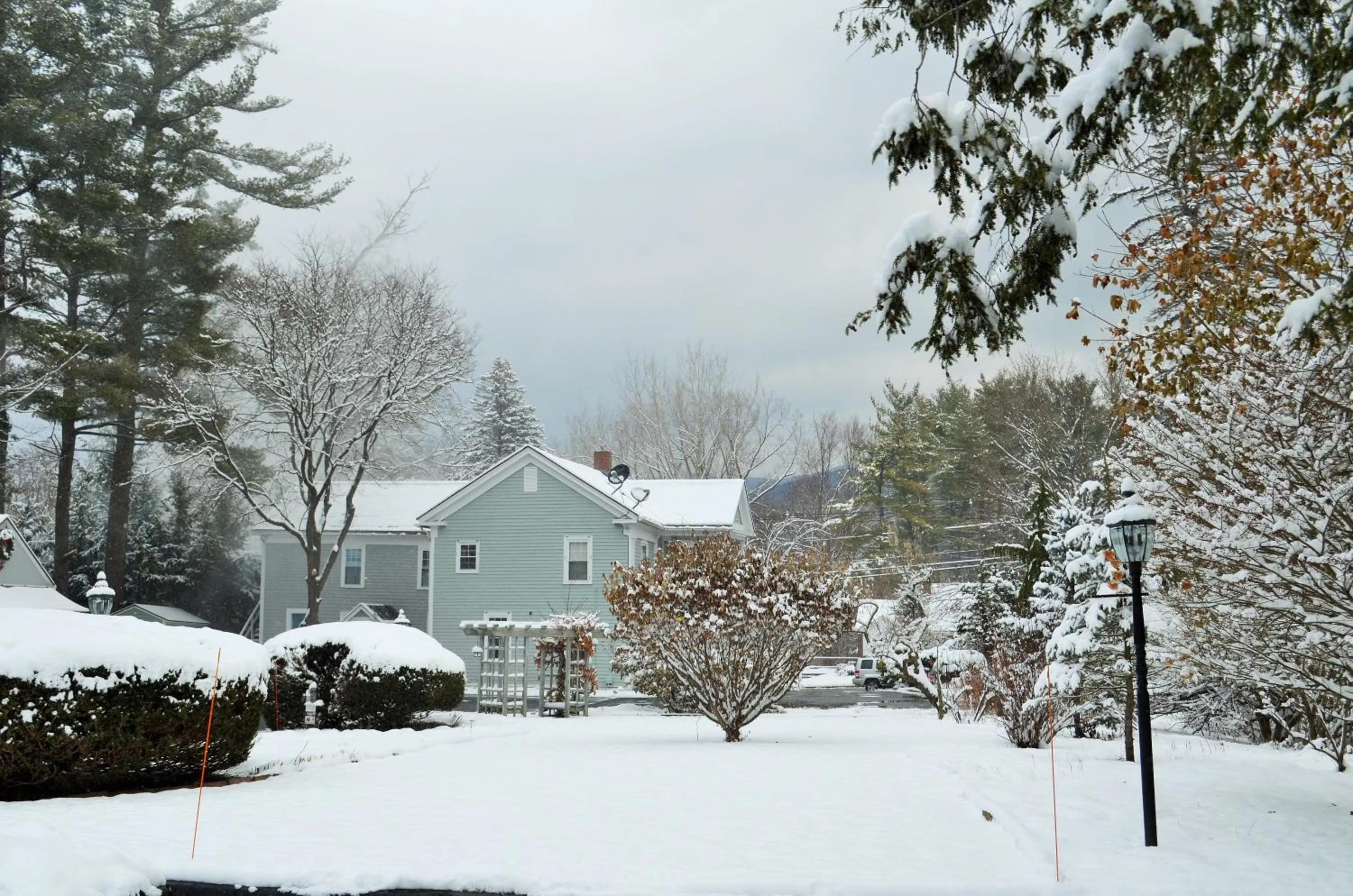 Winter in Maple Terrace Motel