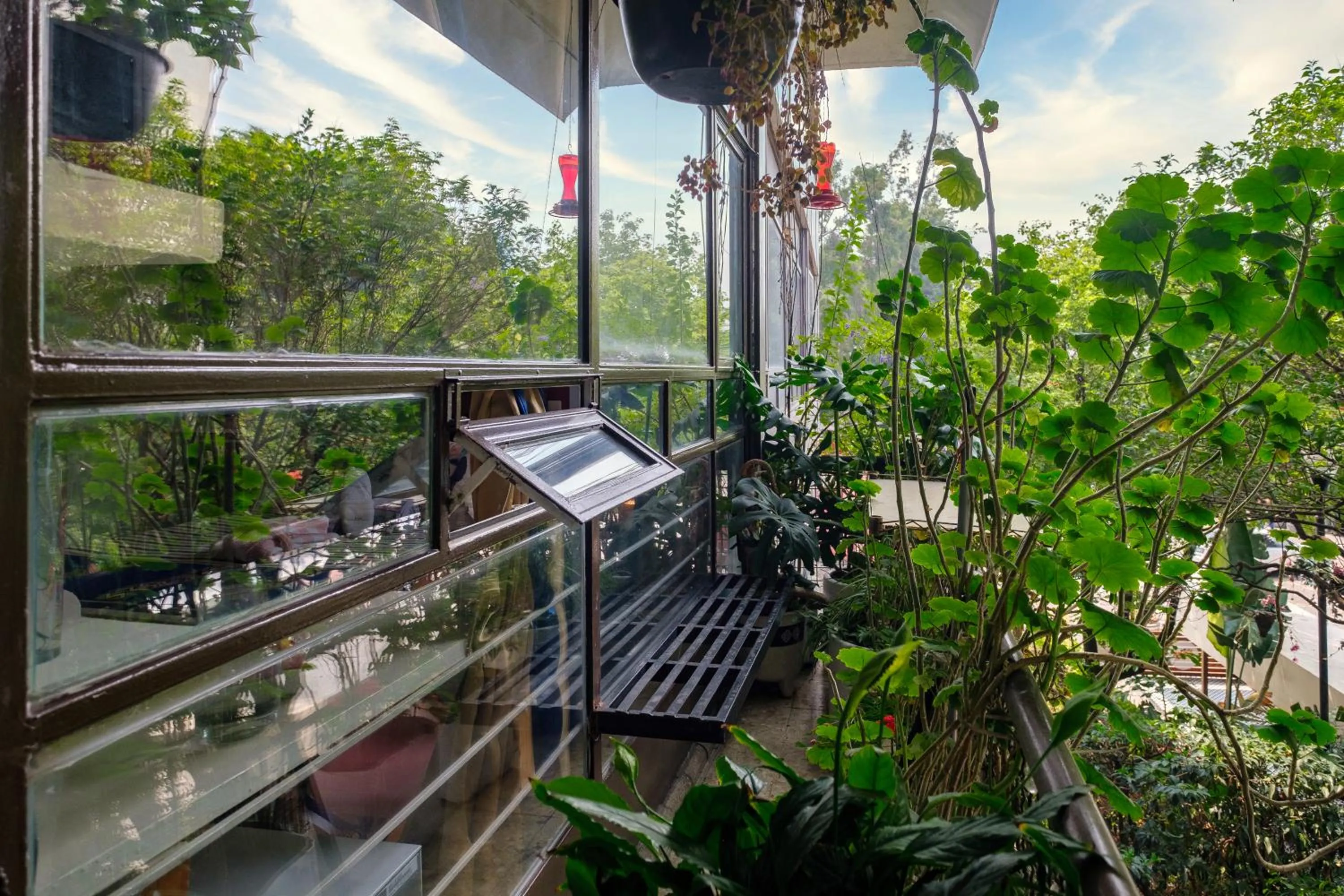 Patio in Casa Itzae B&B Polanquito Dog Friendly