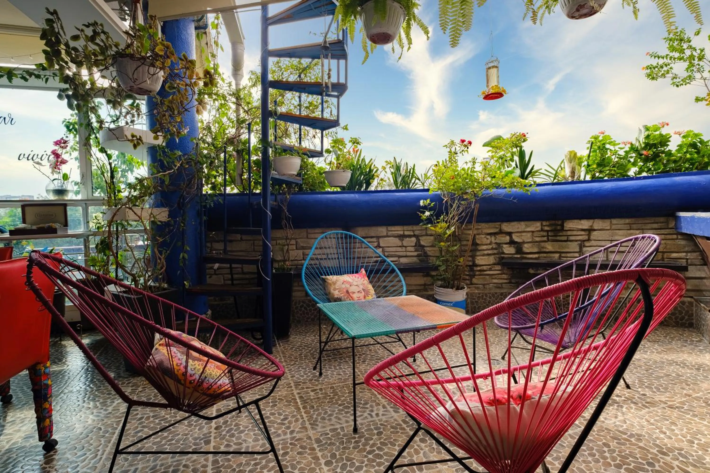 Patio in Casa Itzae B&B Polanquito Dog Friendly