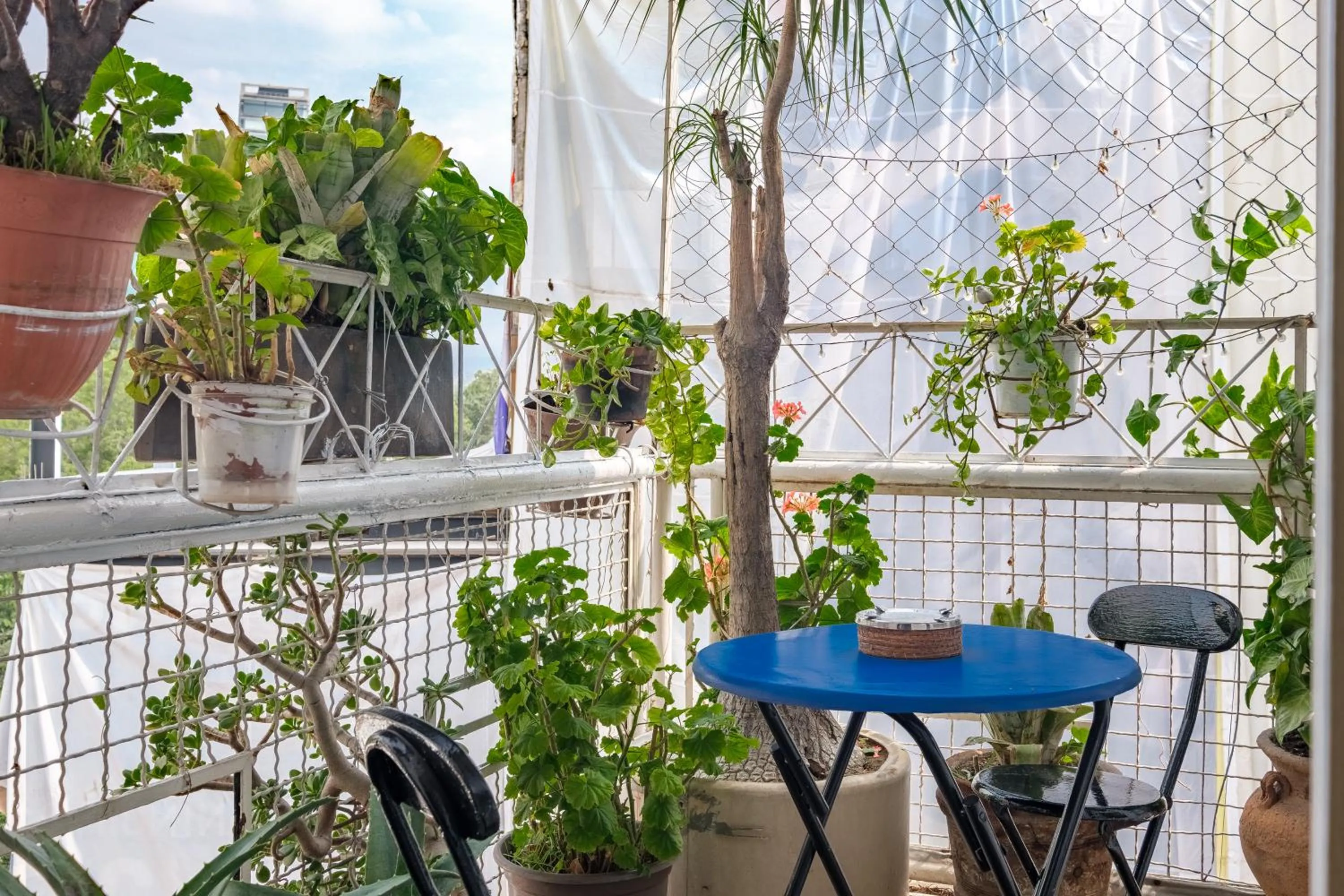 Patio in Casa Itzae B&B Polanquito Dog Friendly