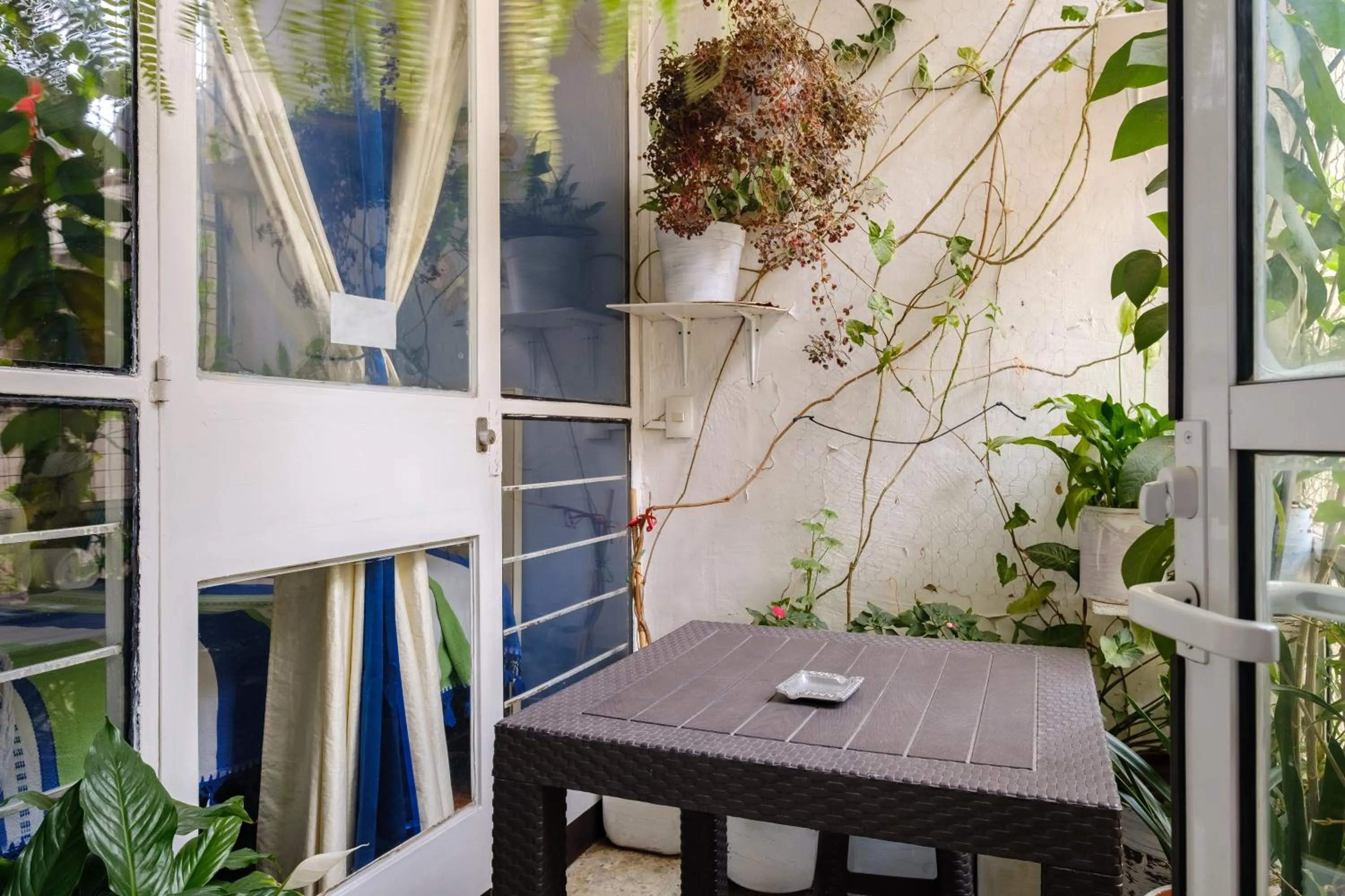 Patio in Casa Itzae B&B Polanquito Dog Friendly
