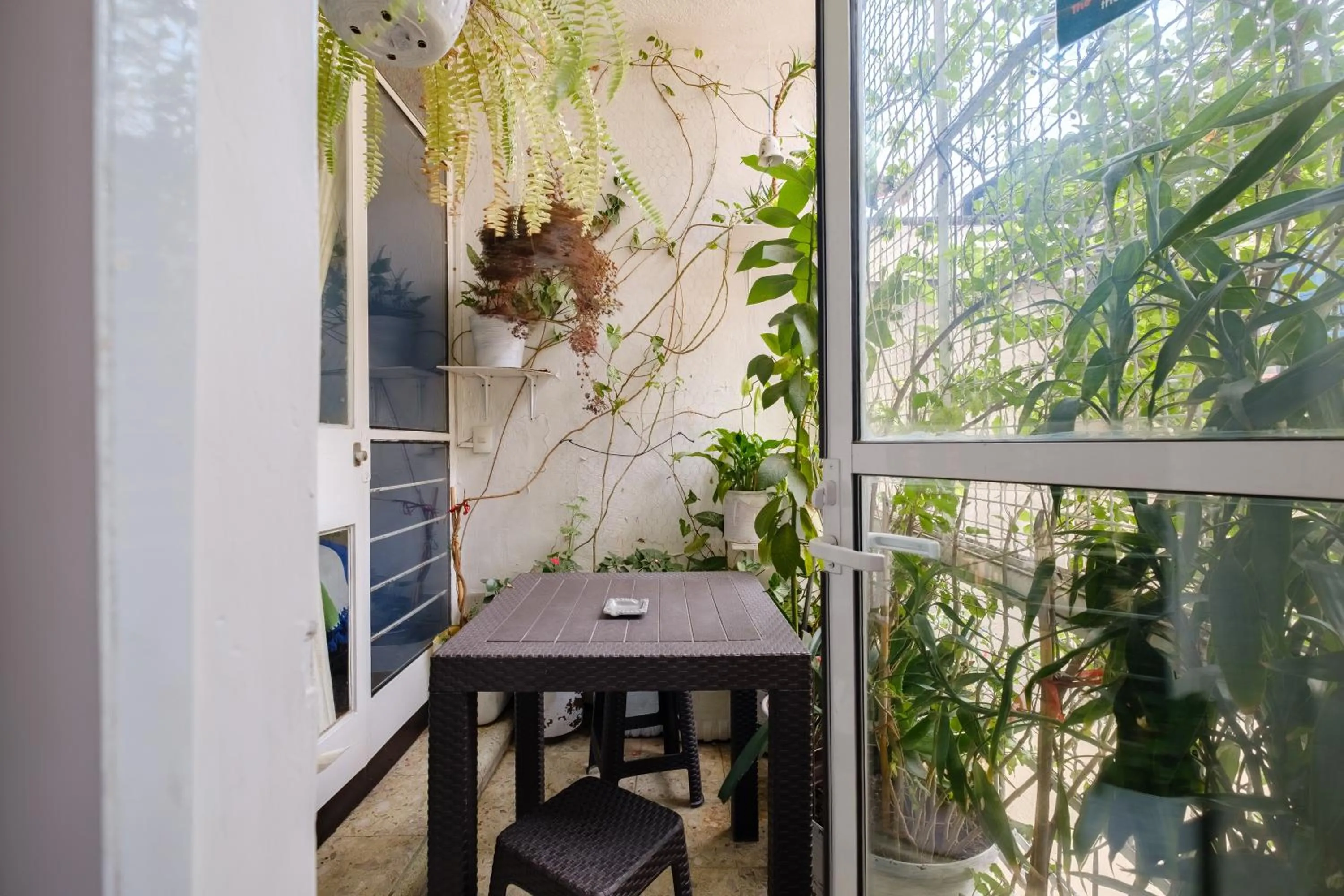 Patio in Casa Itzae B&B Polanquito Dog Friendly