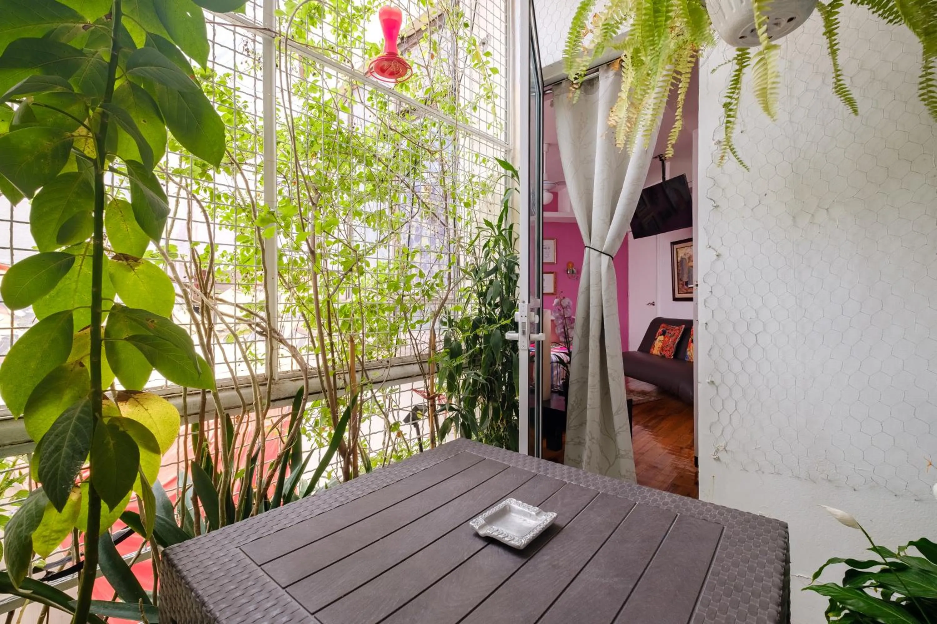 Patio in Casa Itzae B&B Polanquito Dog Friendly