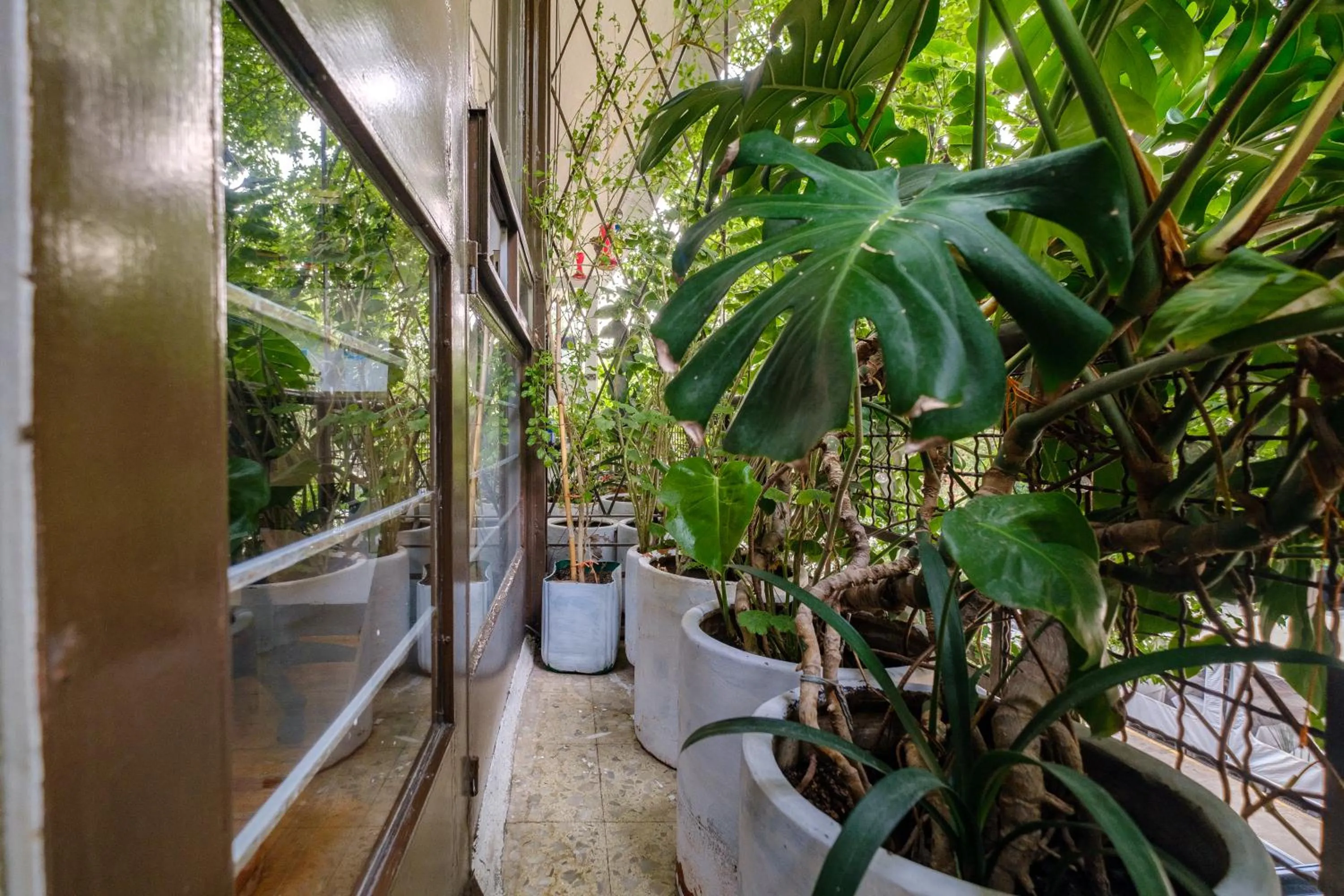 View (from property/room) in Casa Itzae B&B Polanquito Dog Friendly