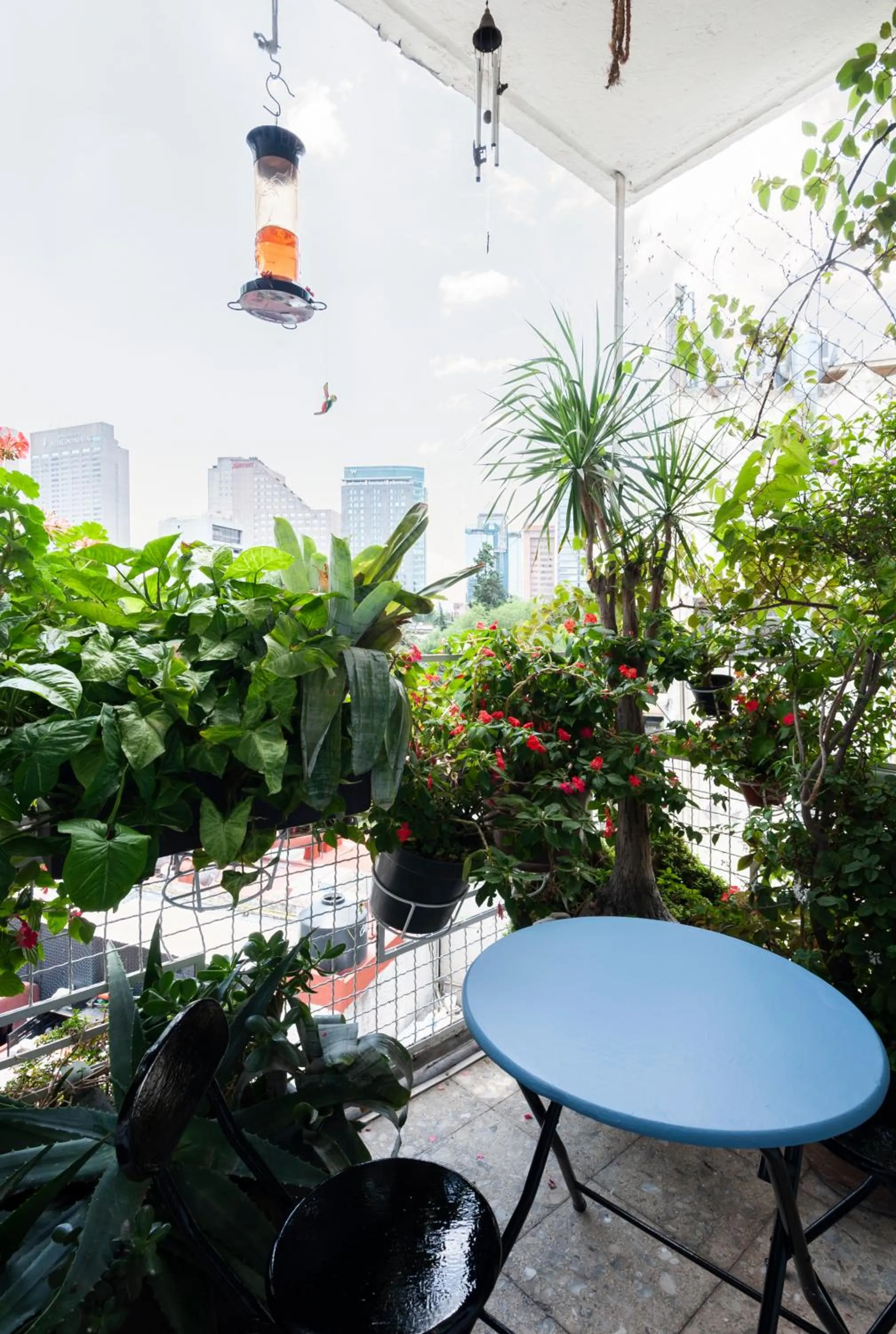 Patio in Casa Itzae B&B Polanquito Dog Friendly
