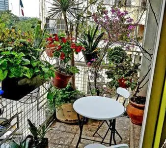 Patio in Casa Itzae B&B Polanquito Dog Friendly