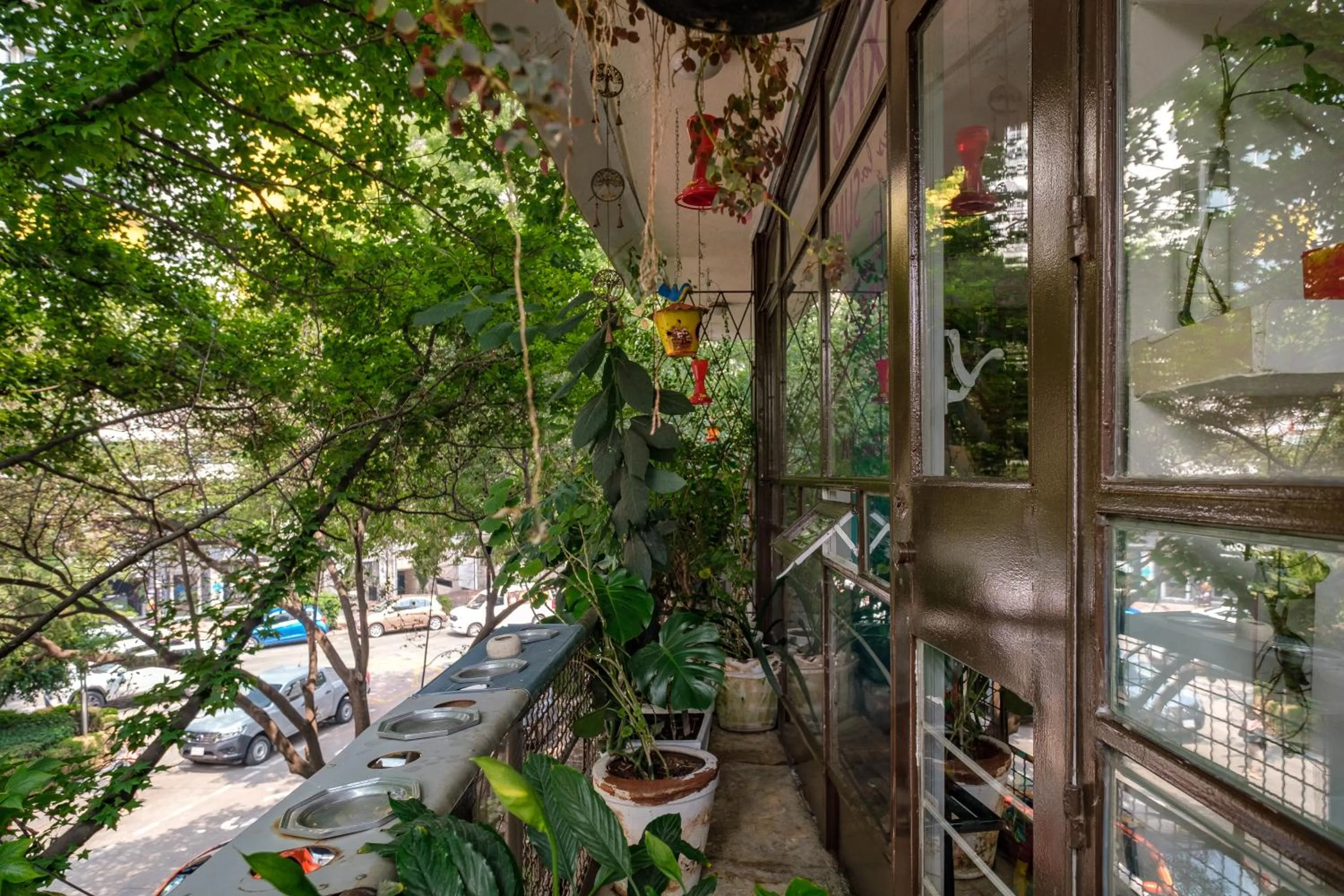 Neighbourhood in Casa Itzae B&B Polanquito Dog Friendly
