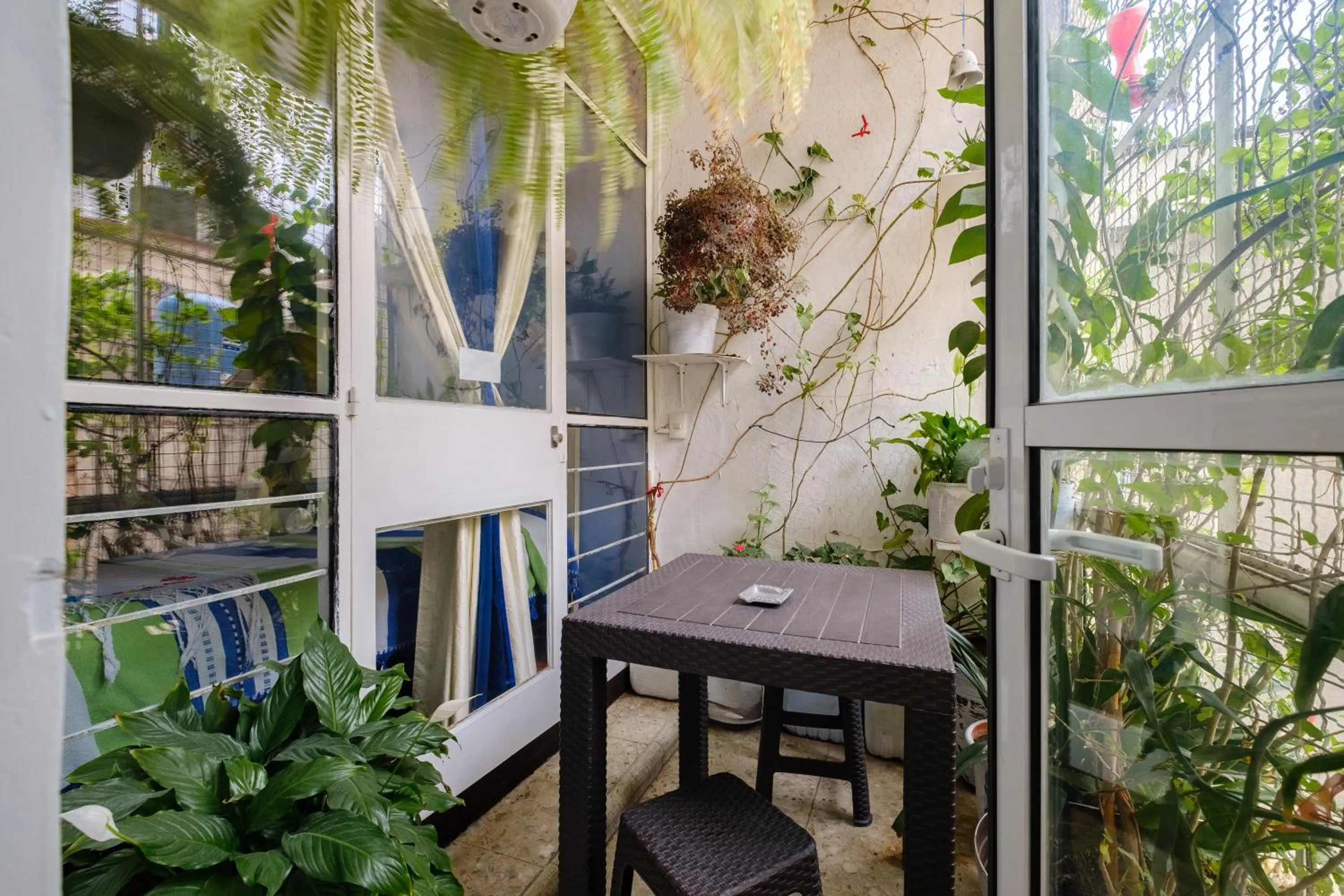 Inner courtyard view in Casa Itzae B&B Polanquito Dog Friendly