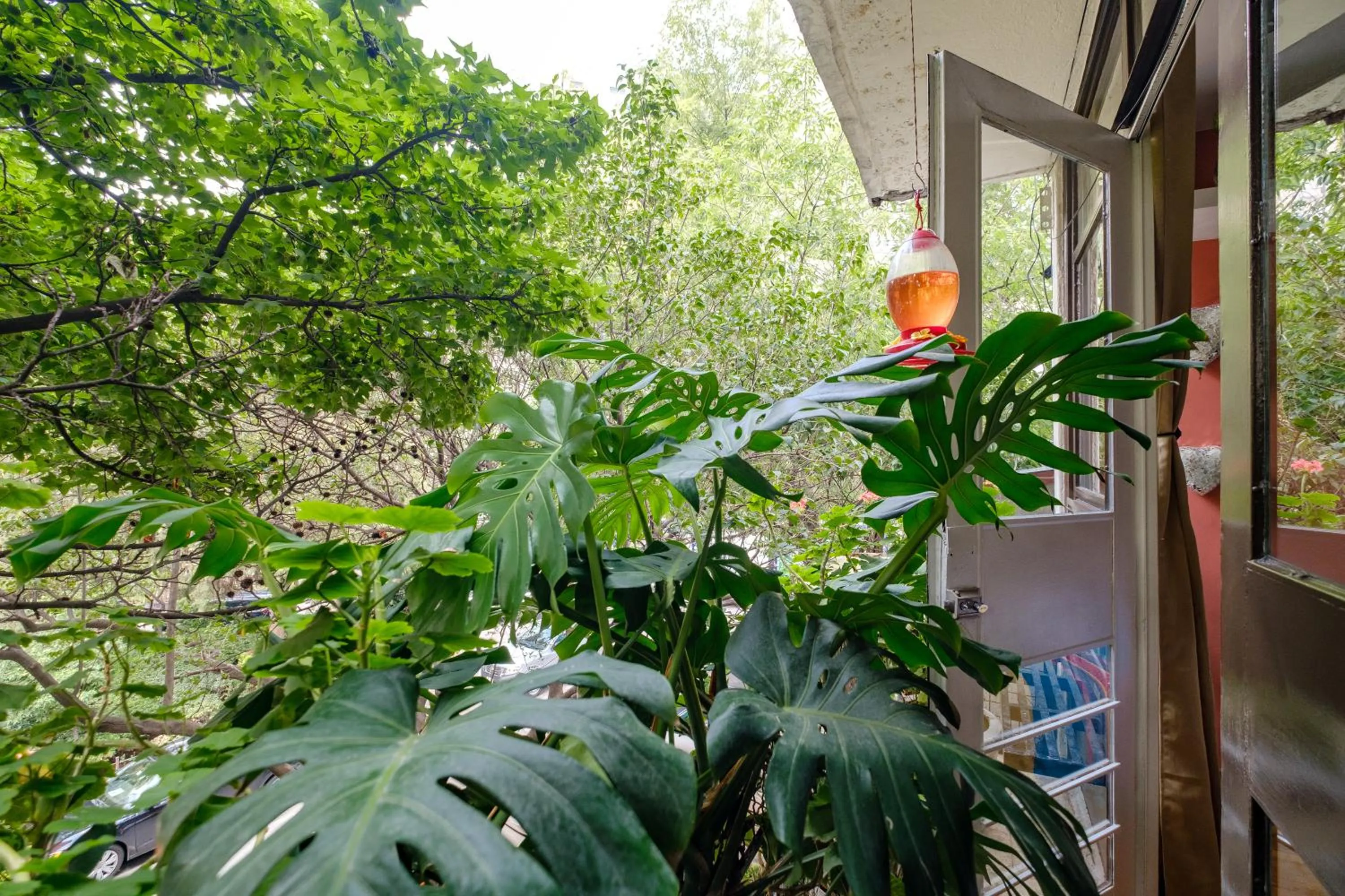 View (from property/room) in Casa Itzae B&B Polanquito Dog Friendly