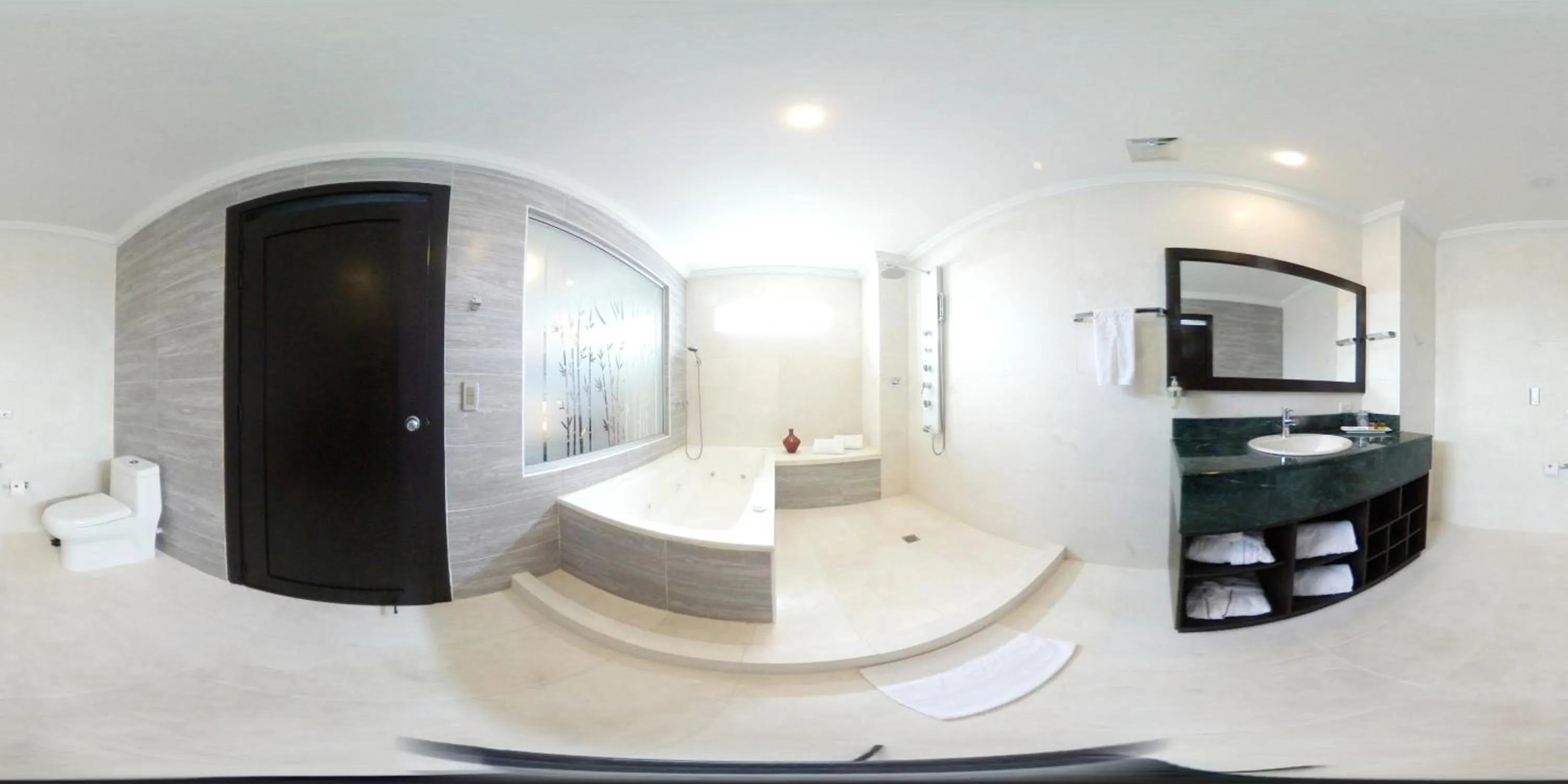 Shower in Hotel Varuna