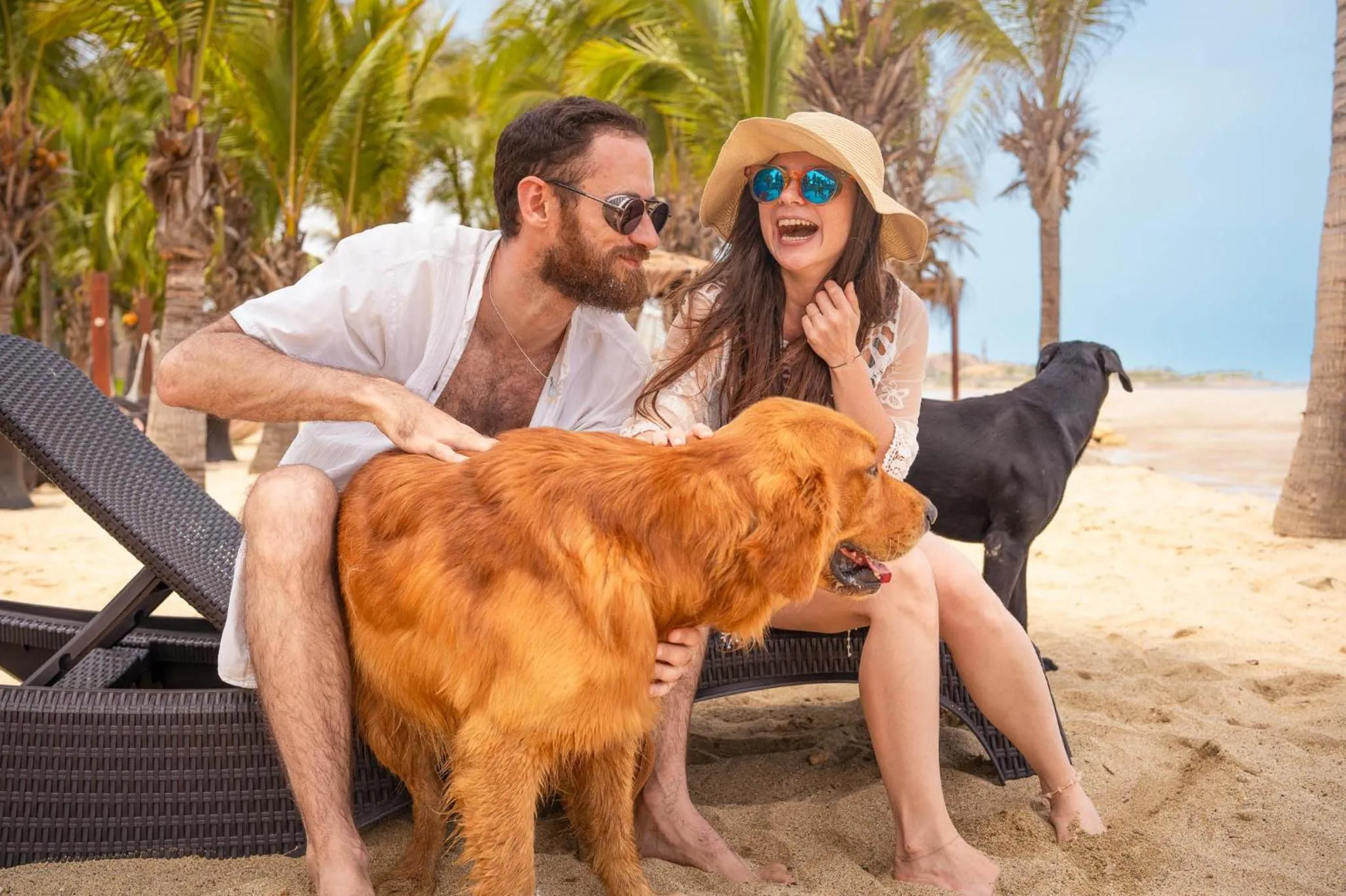 Pets in Casa Andina Select Zorritos Tumbes