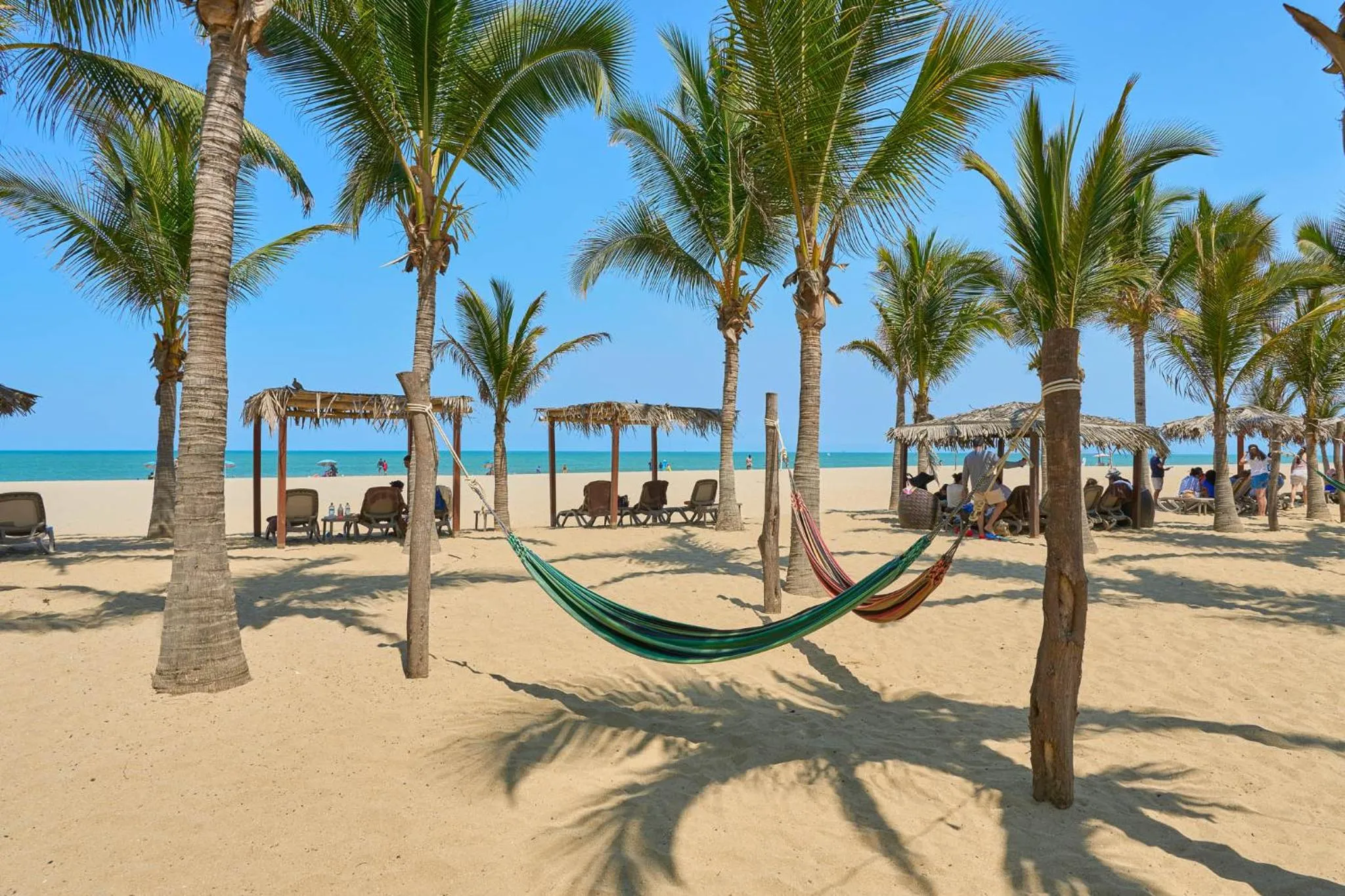 Natural landscape in Casa Andina Select Zorritos Tumbes