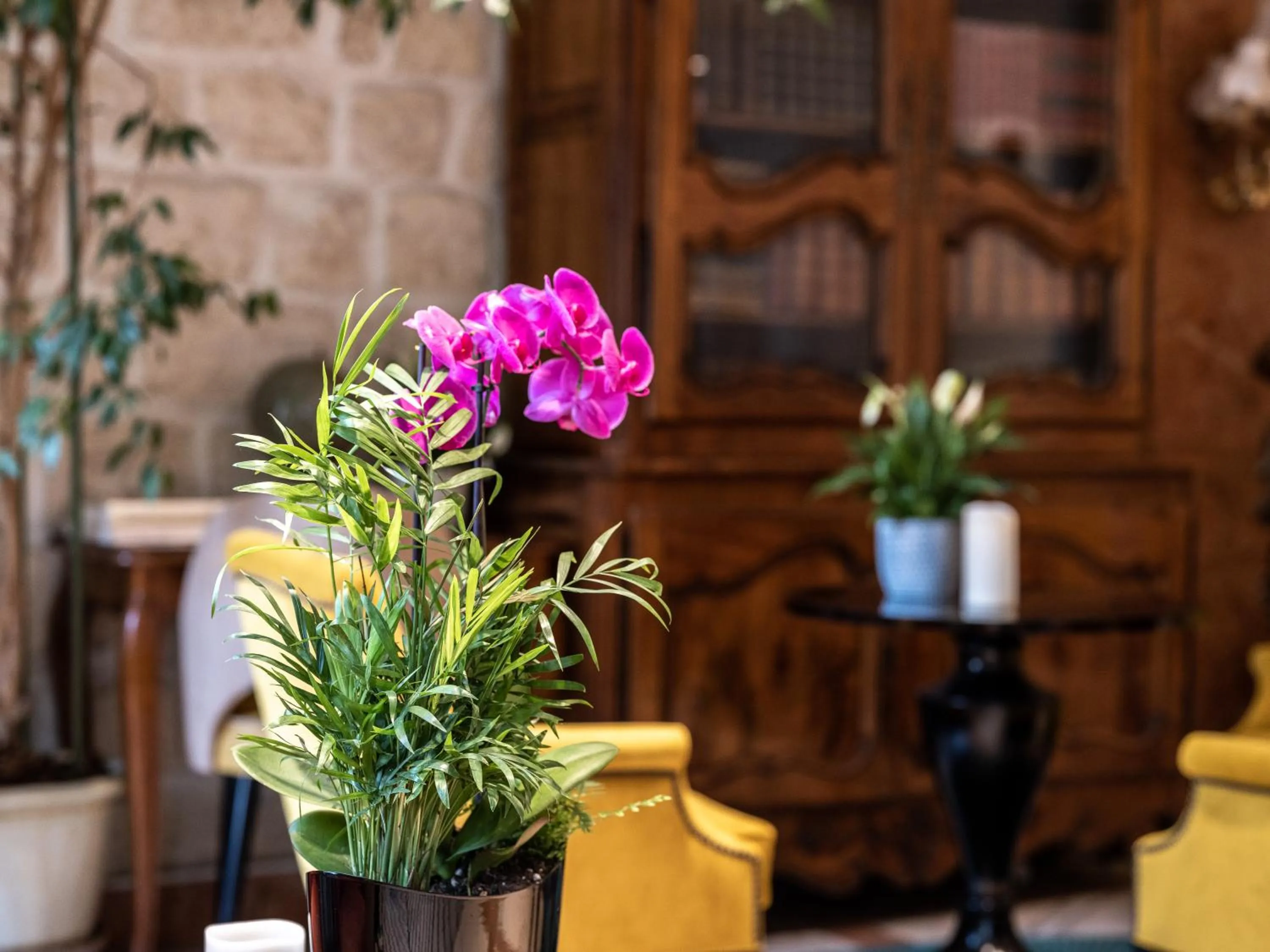 Living room in Hotel Minerve