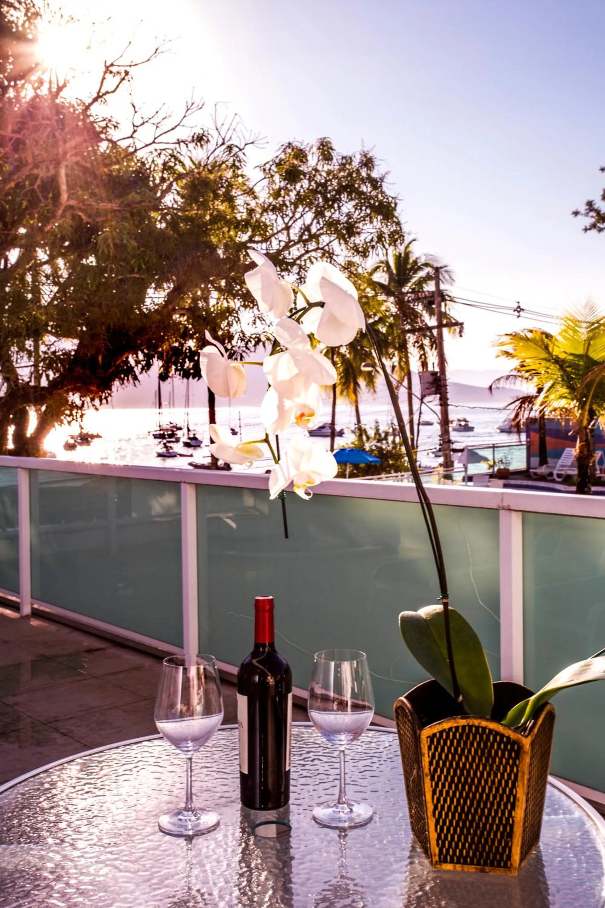 Balcony/Terrace in Hotel Ilhabela