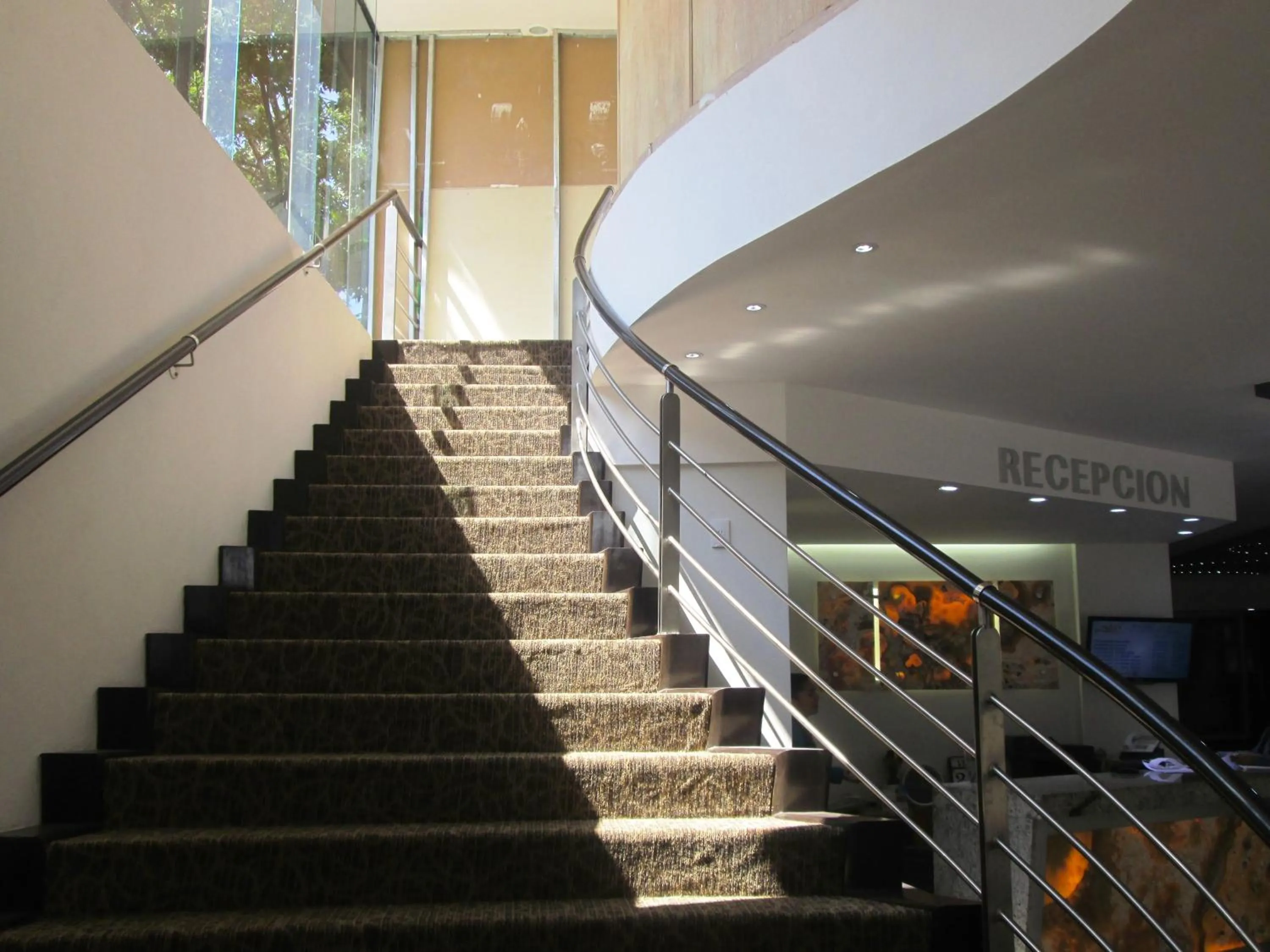 Area and facilities in Hotel Premier