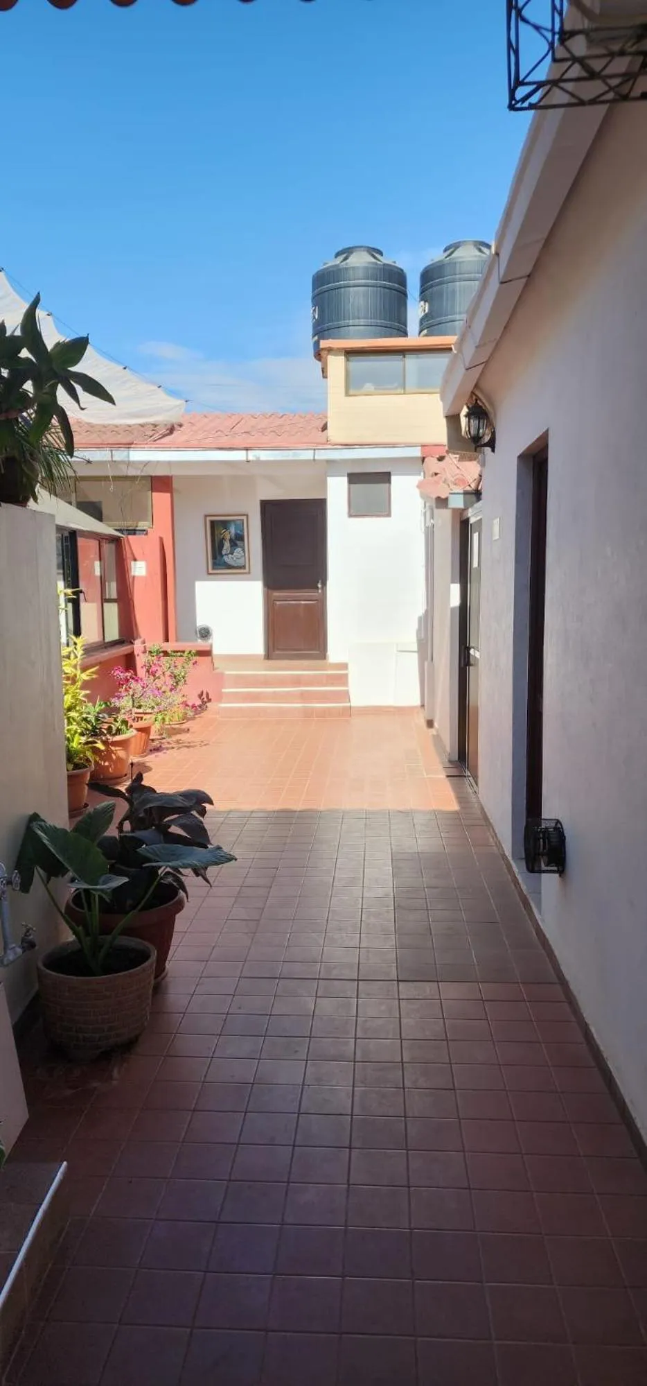 Balcony/Terrace in Hotel Carmen