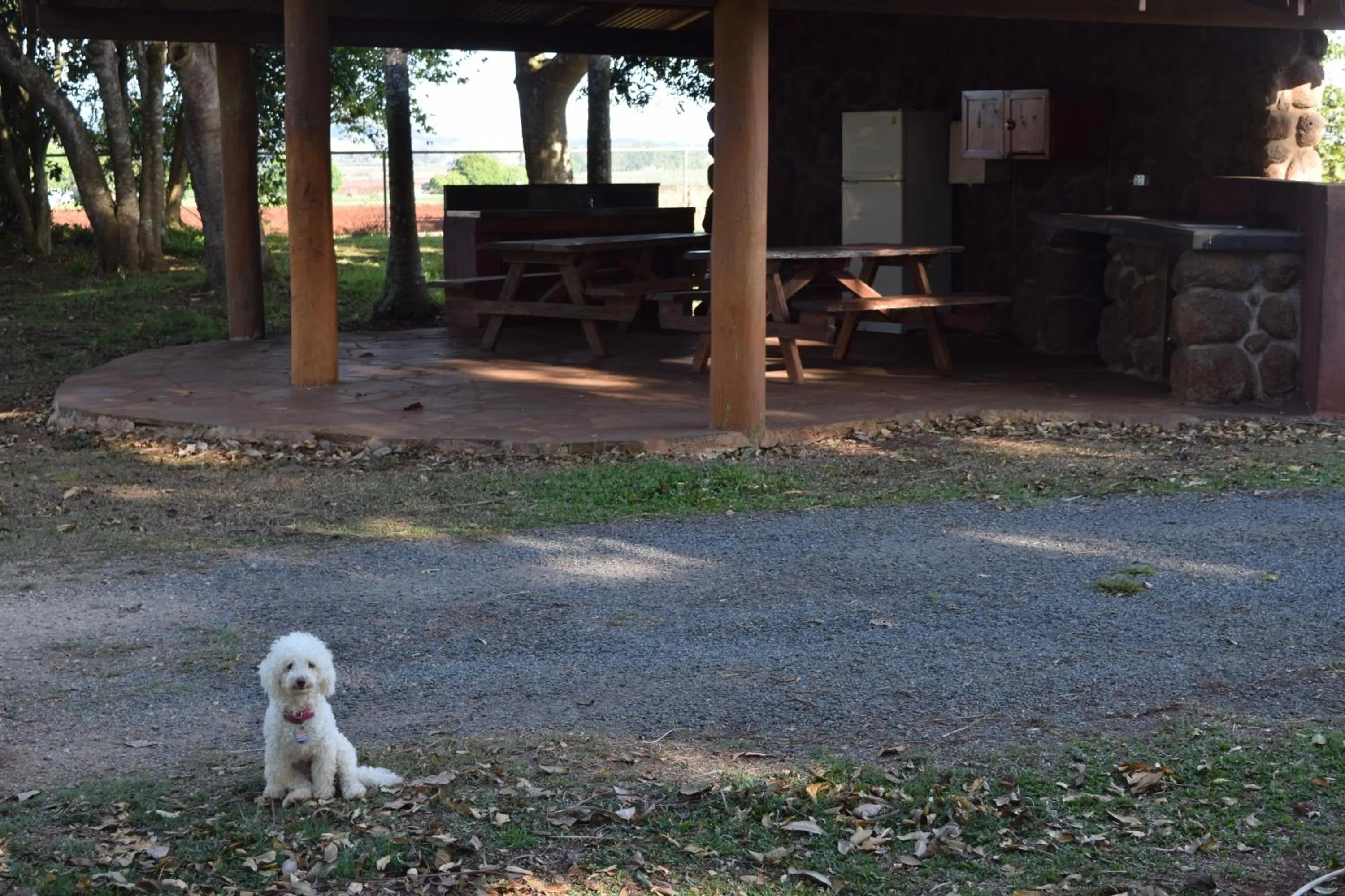 Day in Atherton Holiday Park