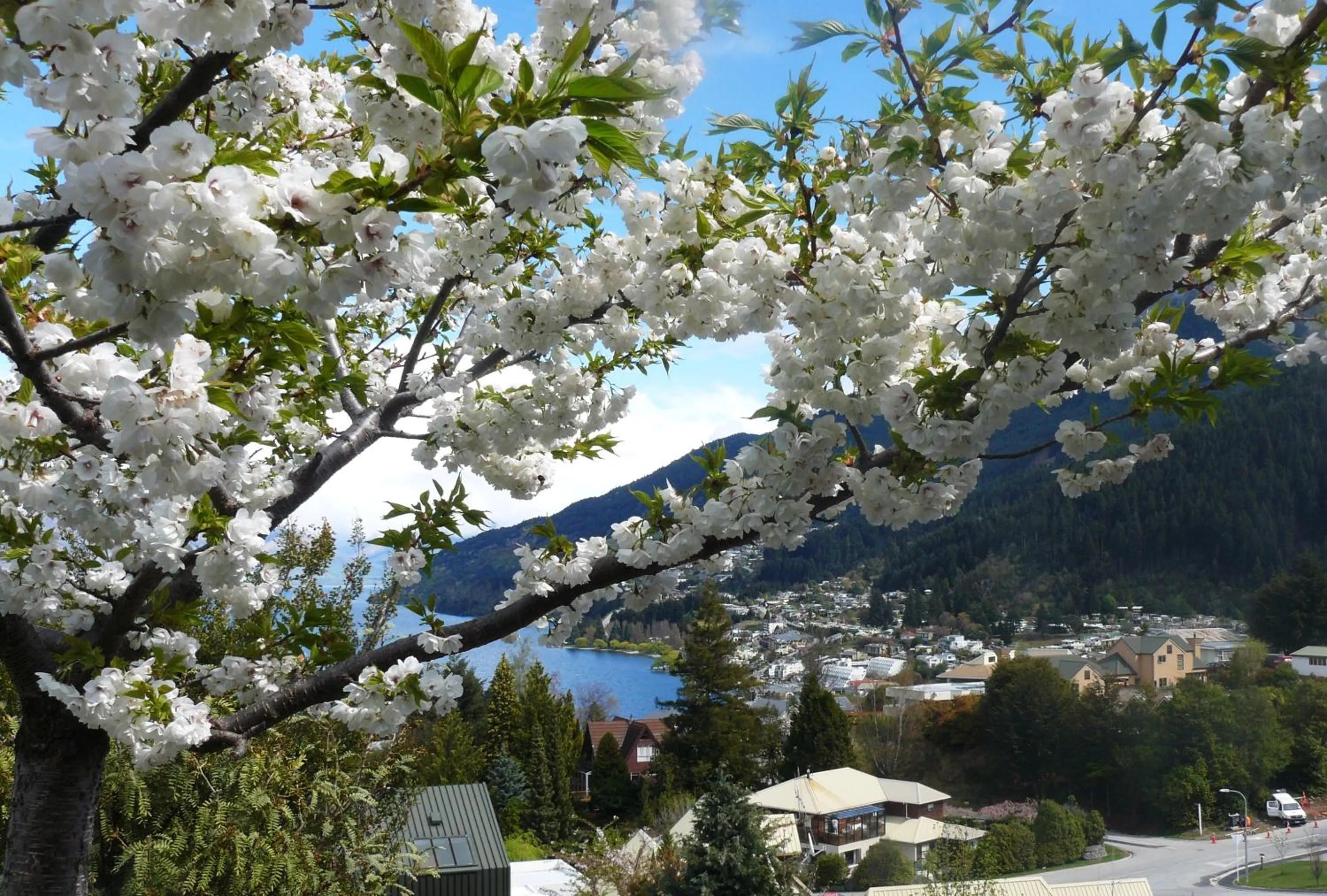 Spring in Balmoral Lodge