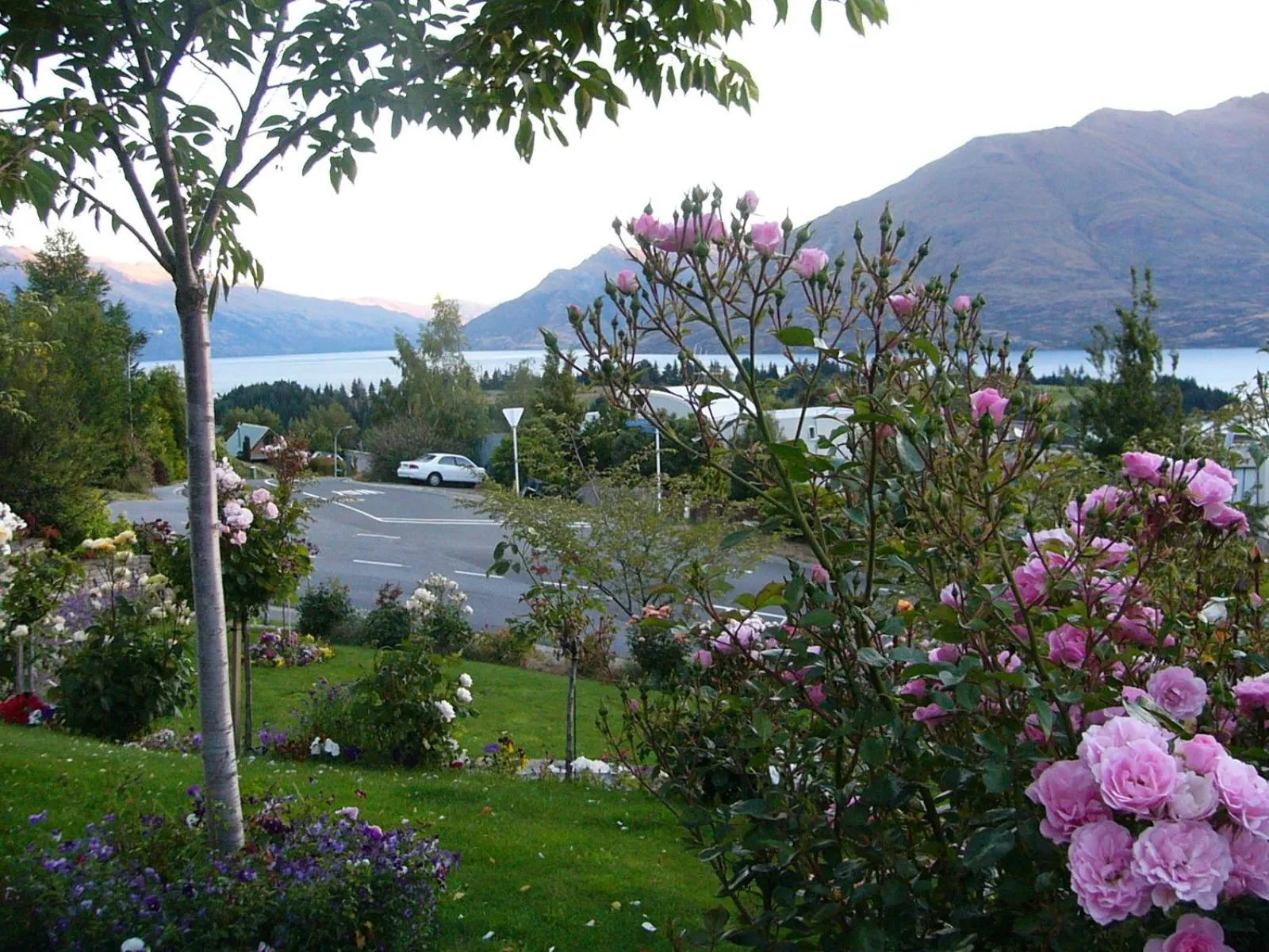 Garden in Balmoral Lodge