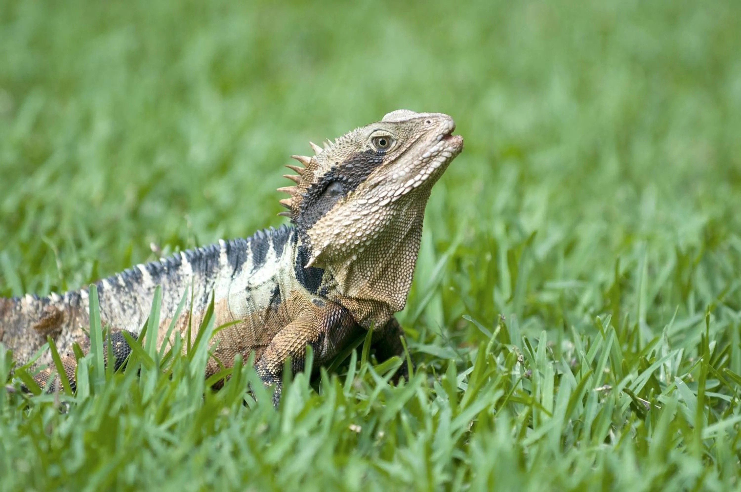 Other in Flynns Beach Resort