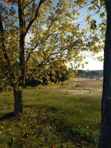 Colby Cottages, Wooragee near Beechworth