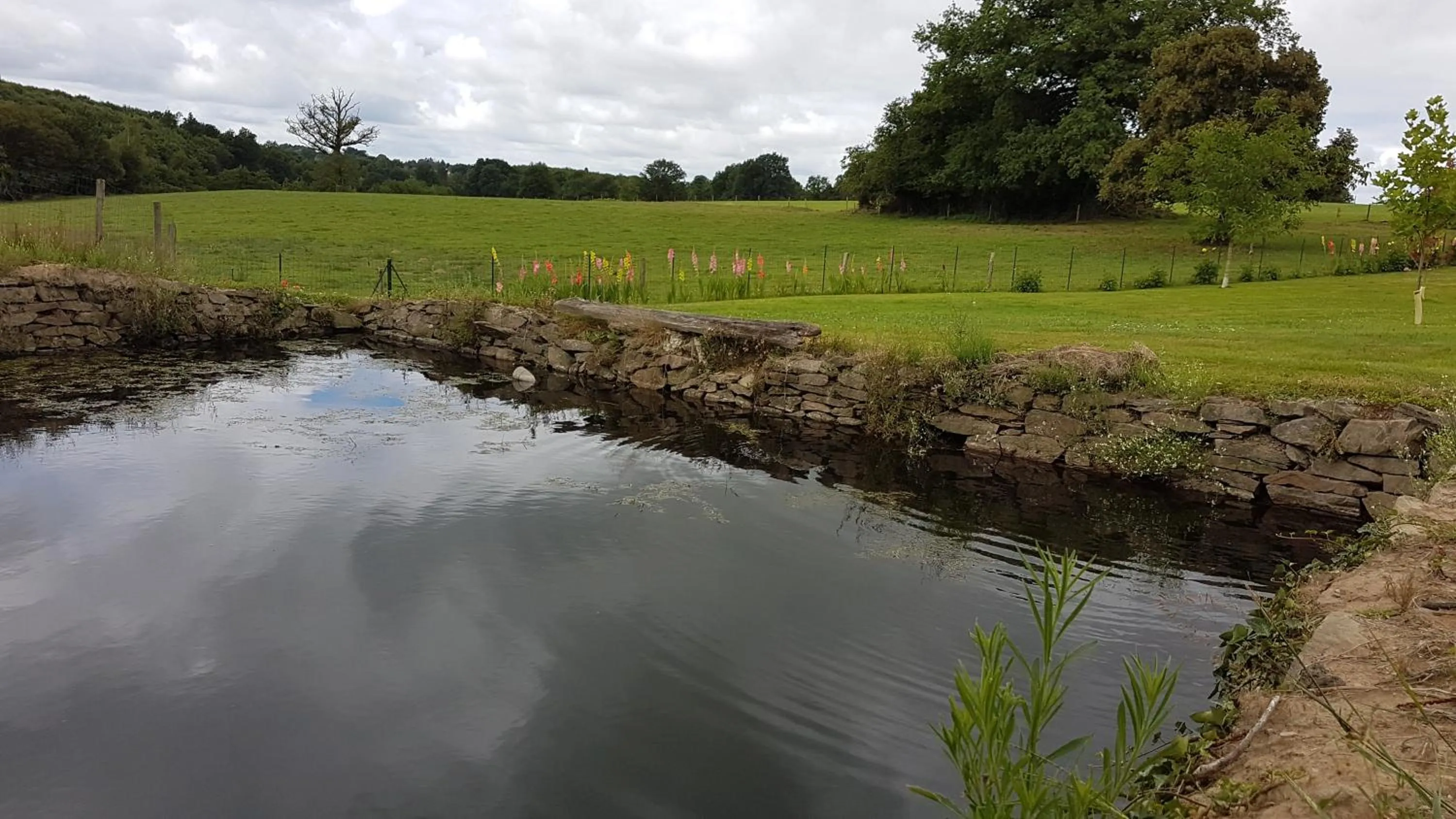 Property building in La THIBAUDIERE Tilleul