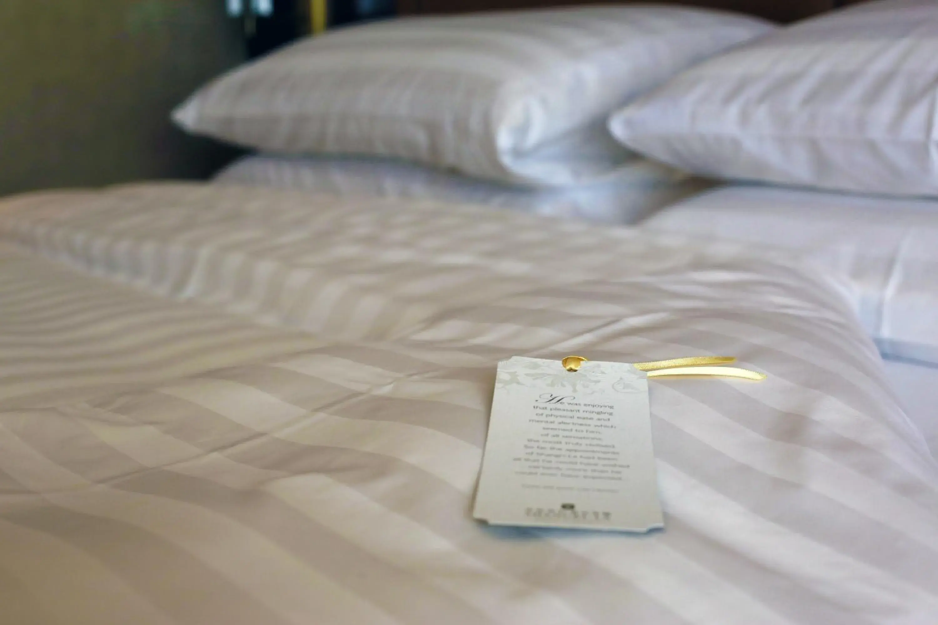 Bed in Shangri-La Manzhouli Bed in Shangri-La Manzhouli