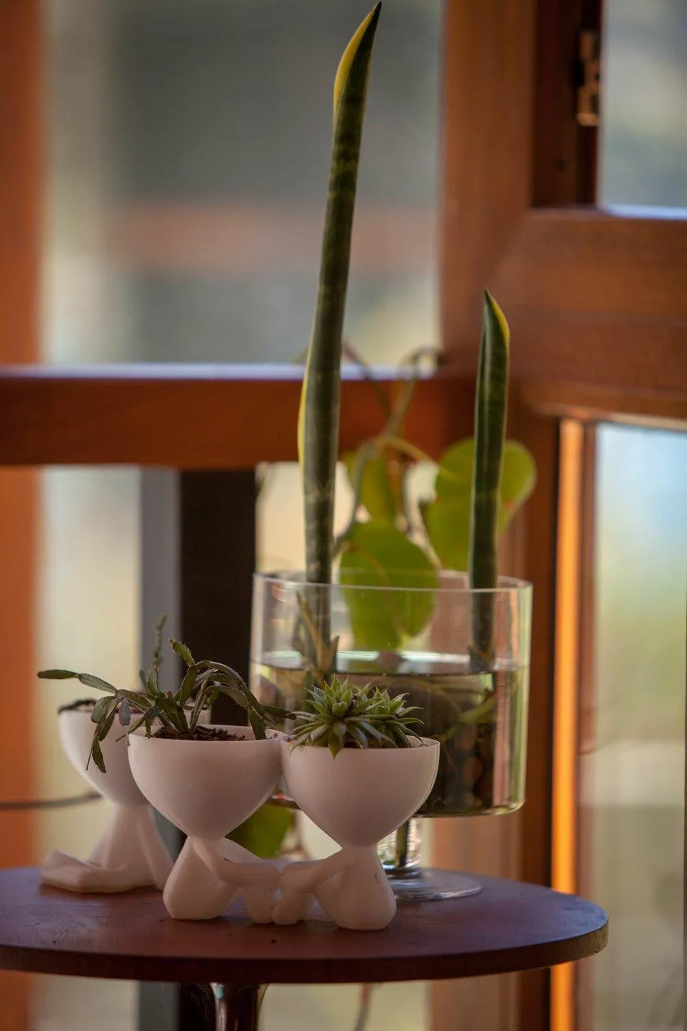 Living room in Origen de la Bahia
