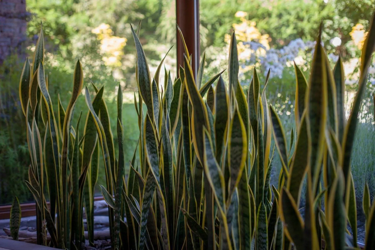 Natural landscape in Origen de la Bahia