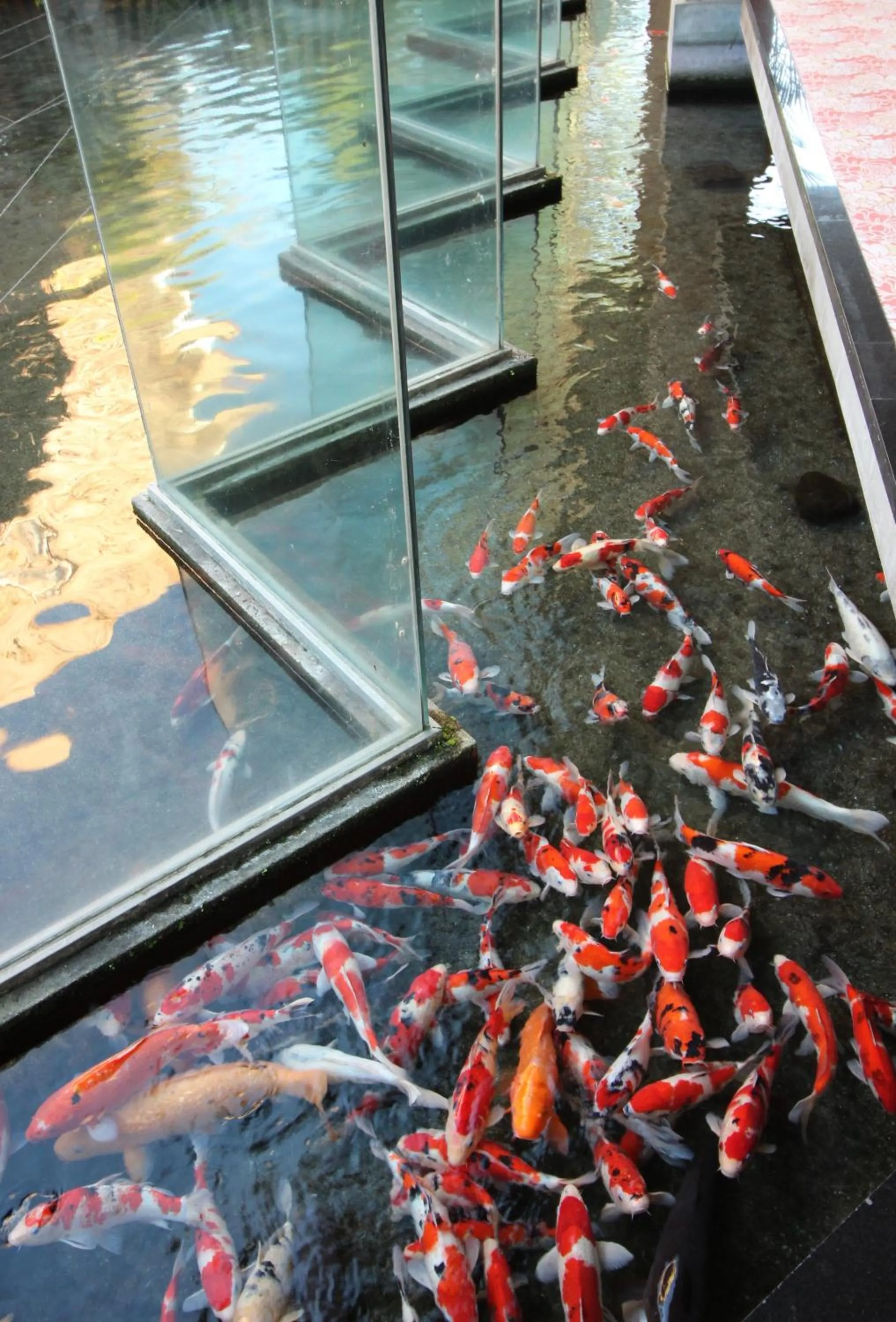 Lobby or reception in Hotel Hatta