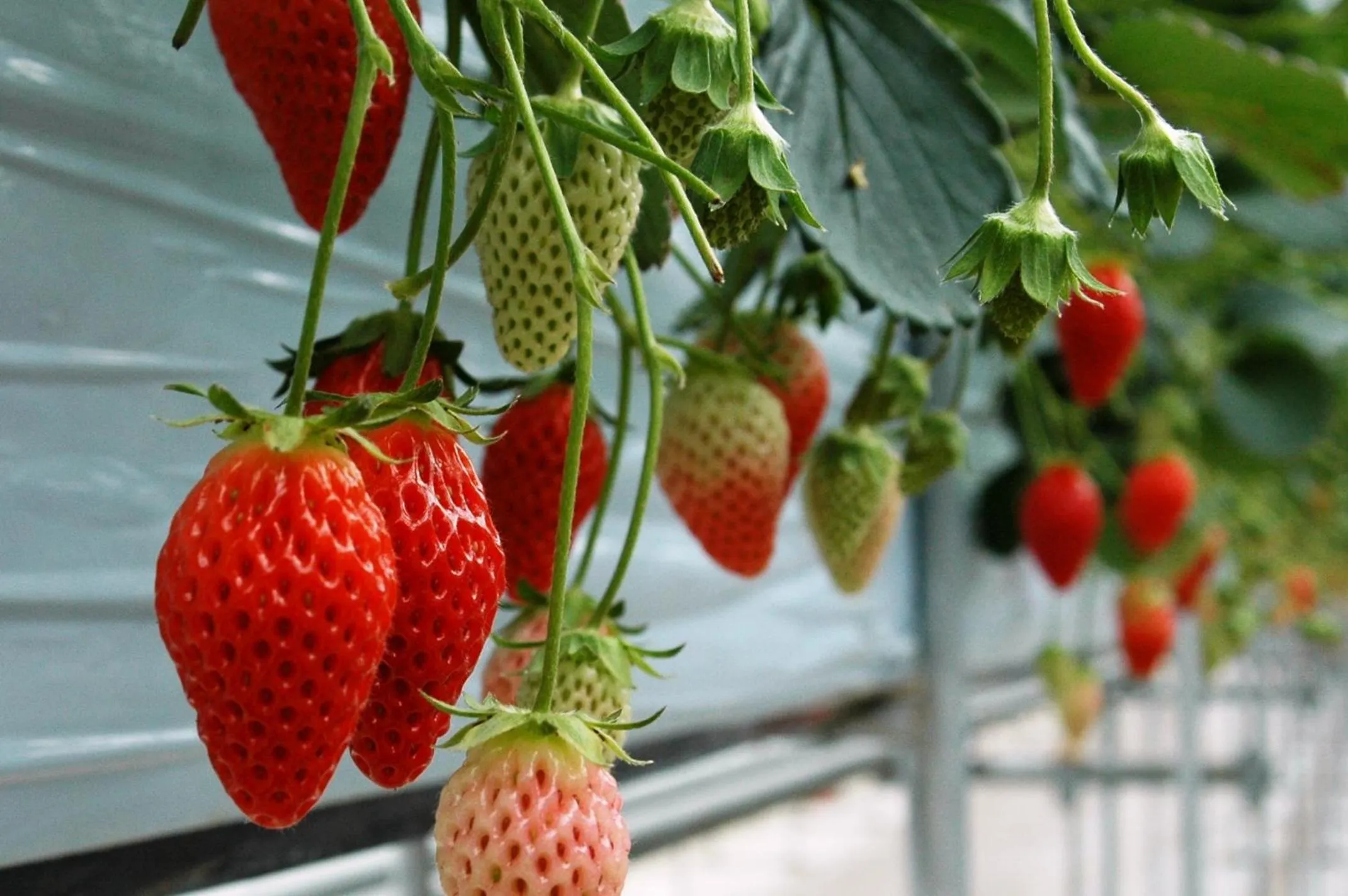 Off site in Hotel Hatta