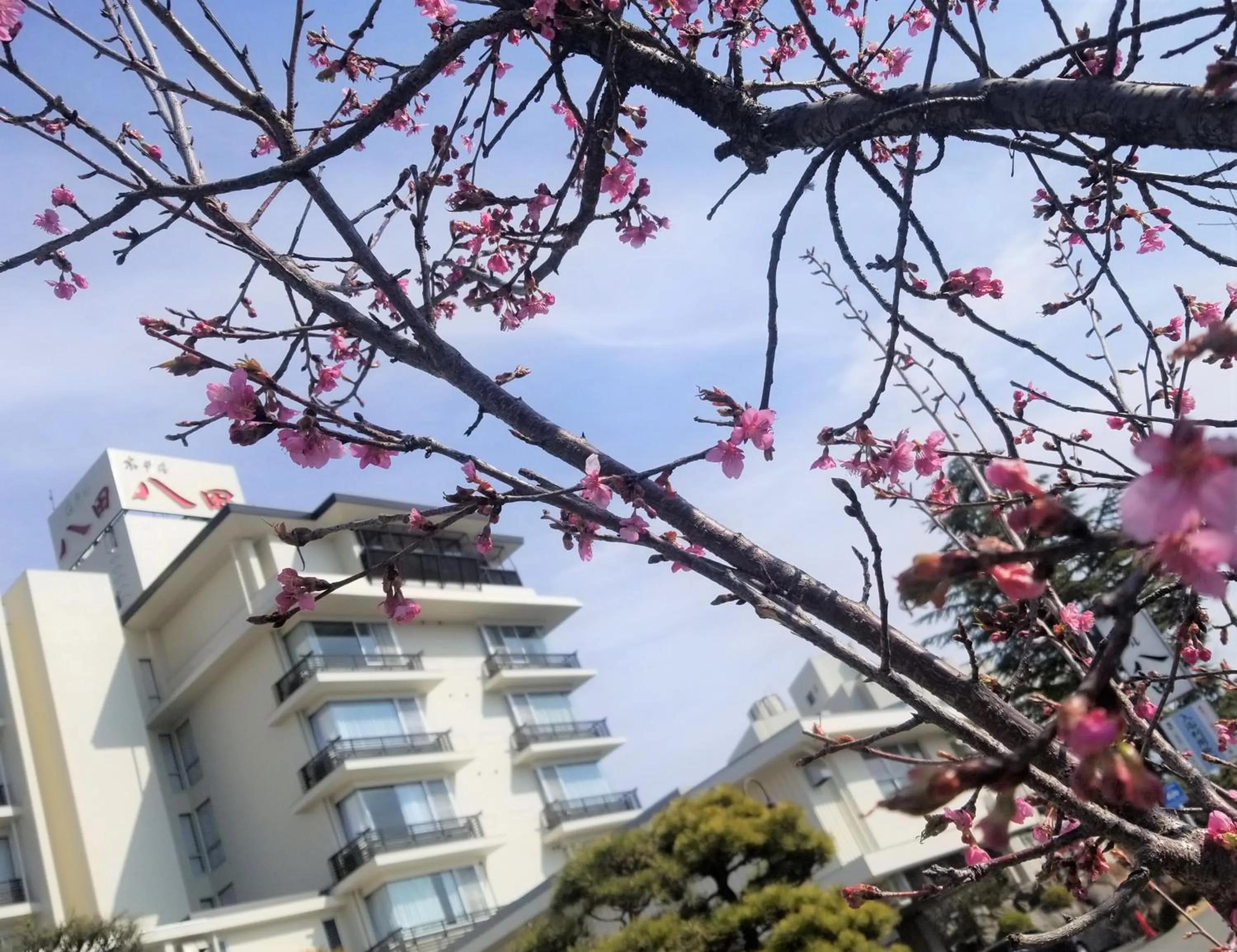 Property building in Hotel Hatta