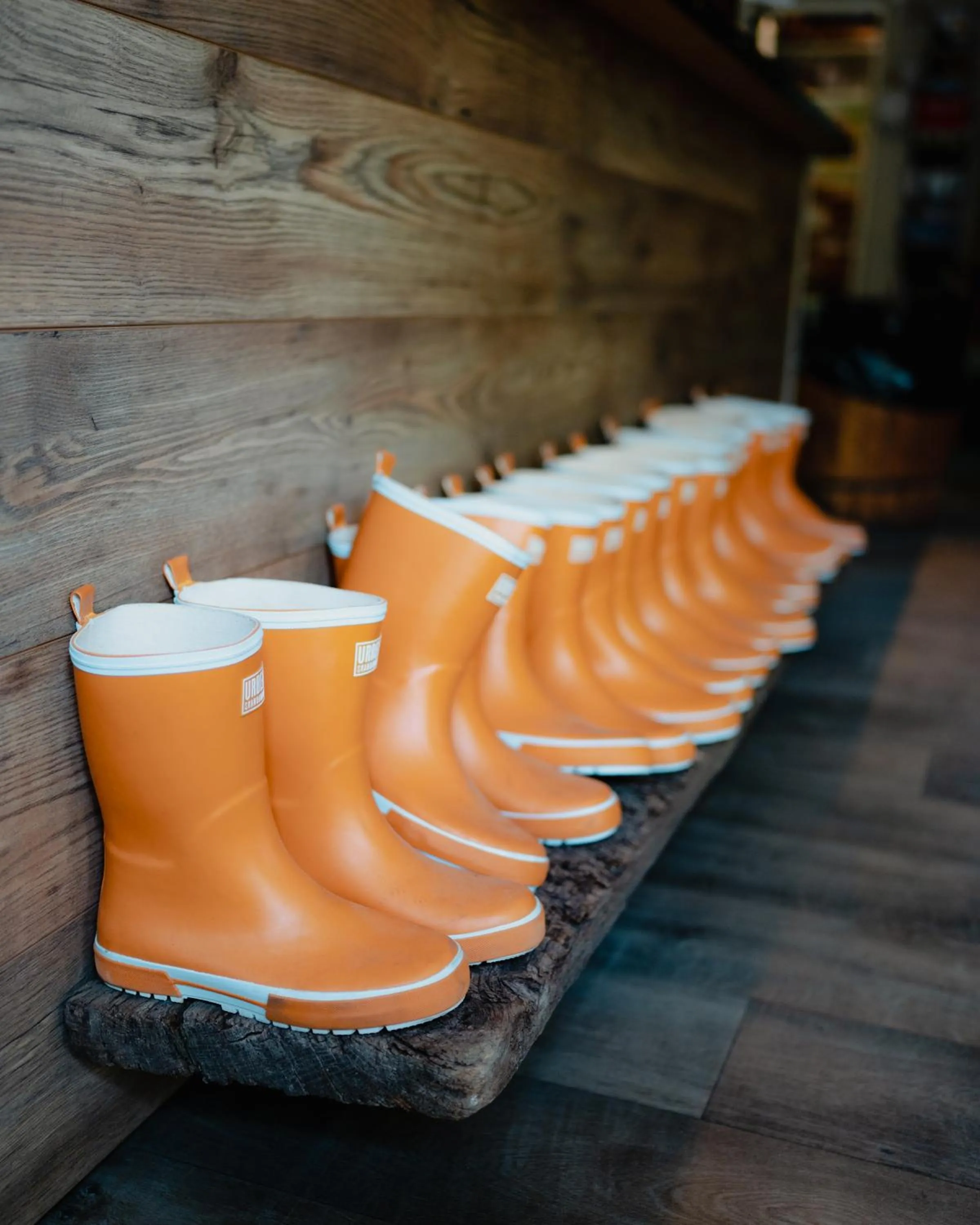 Natural landscape in STF Korrö Gårdshotell