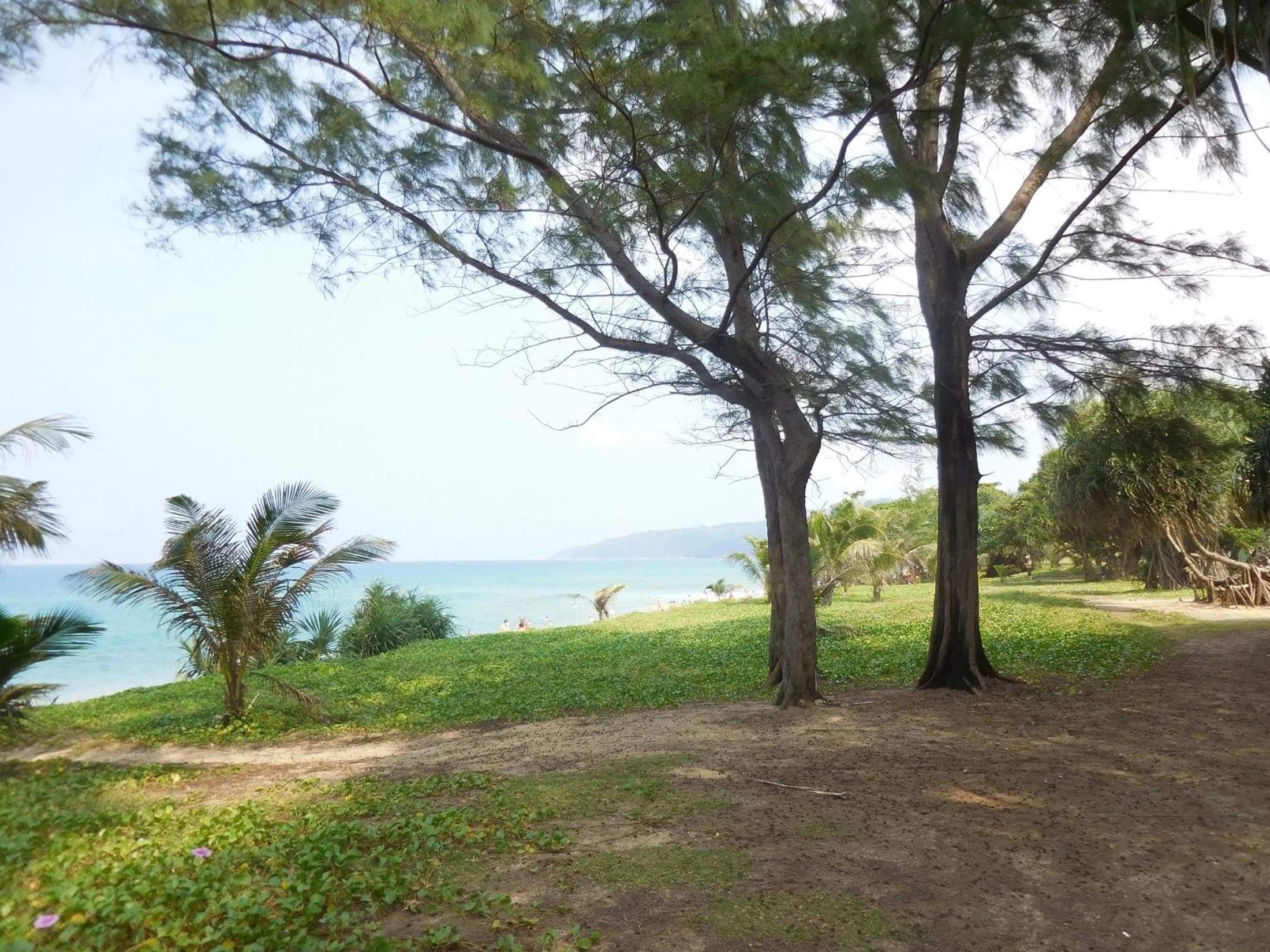 Beach in Holiday Village And Natural Garden Resort