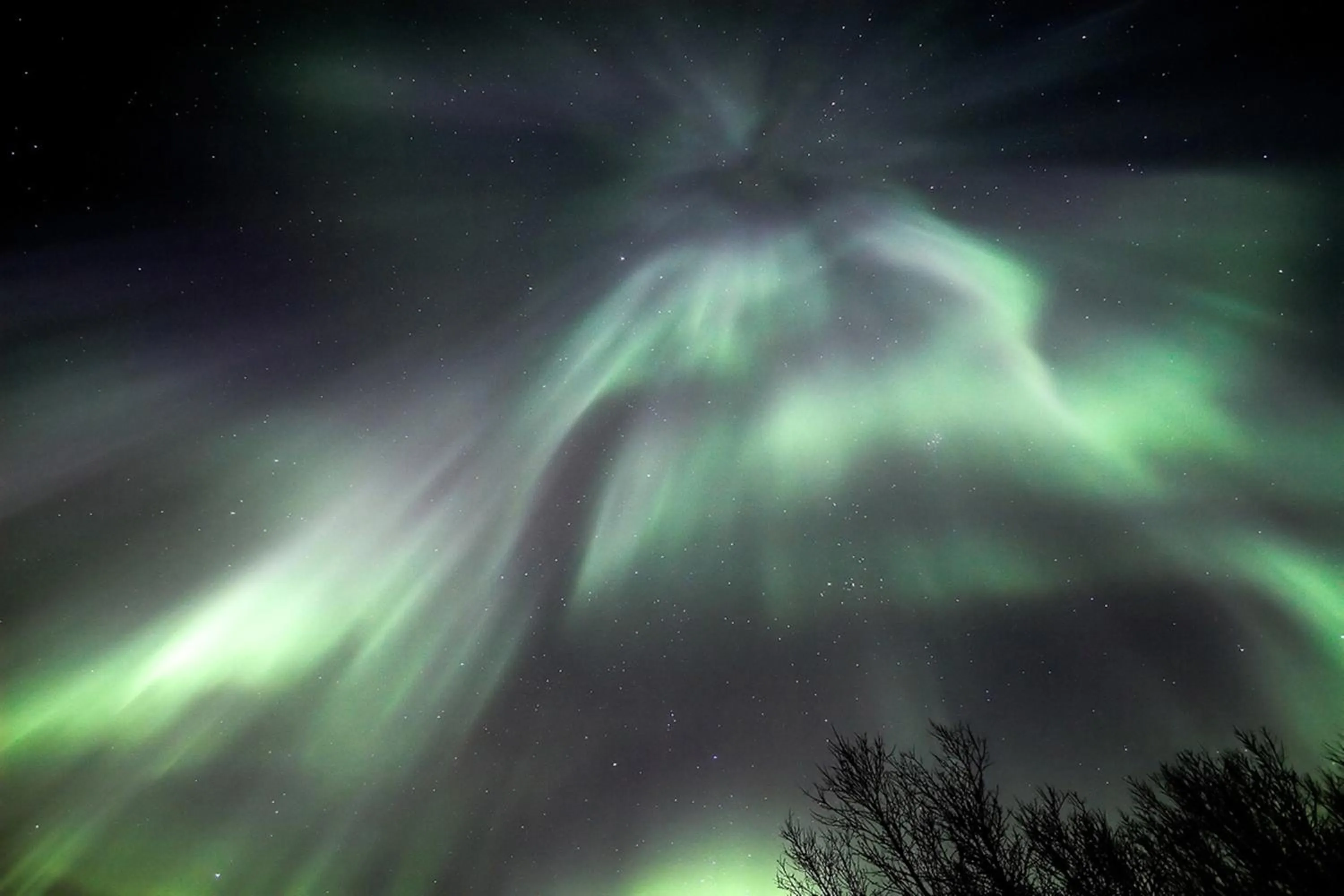 Area and facilities in Welcome Edinborg