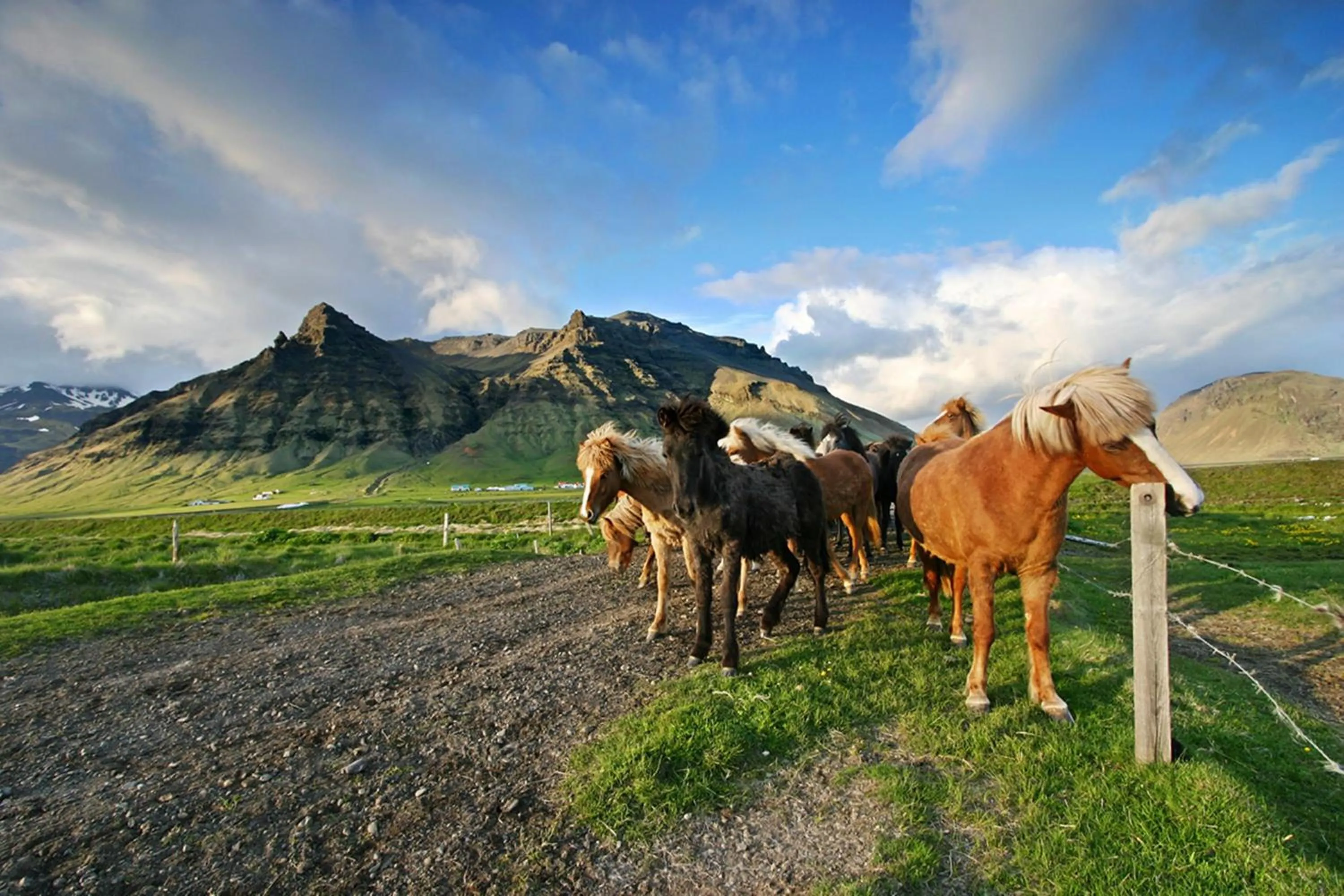 Area and facilities in Welcome Edinborg