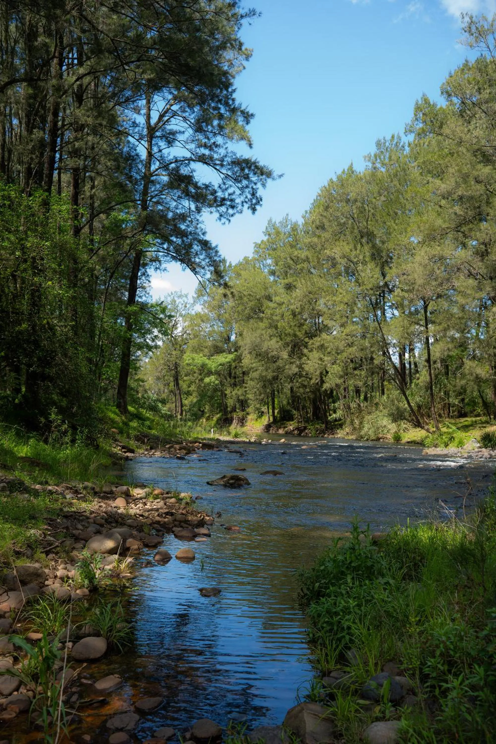 Other in Bobby's Country Rental