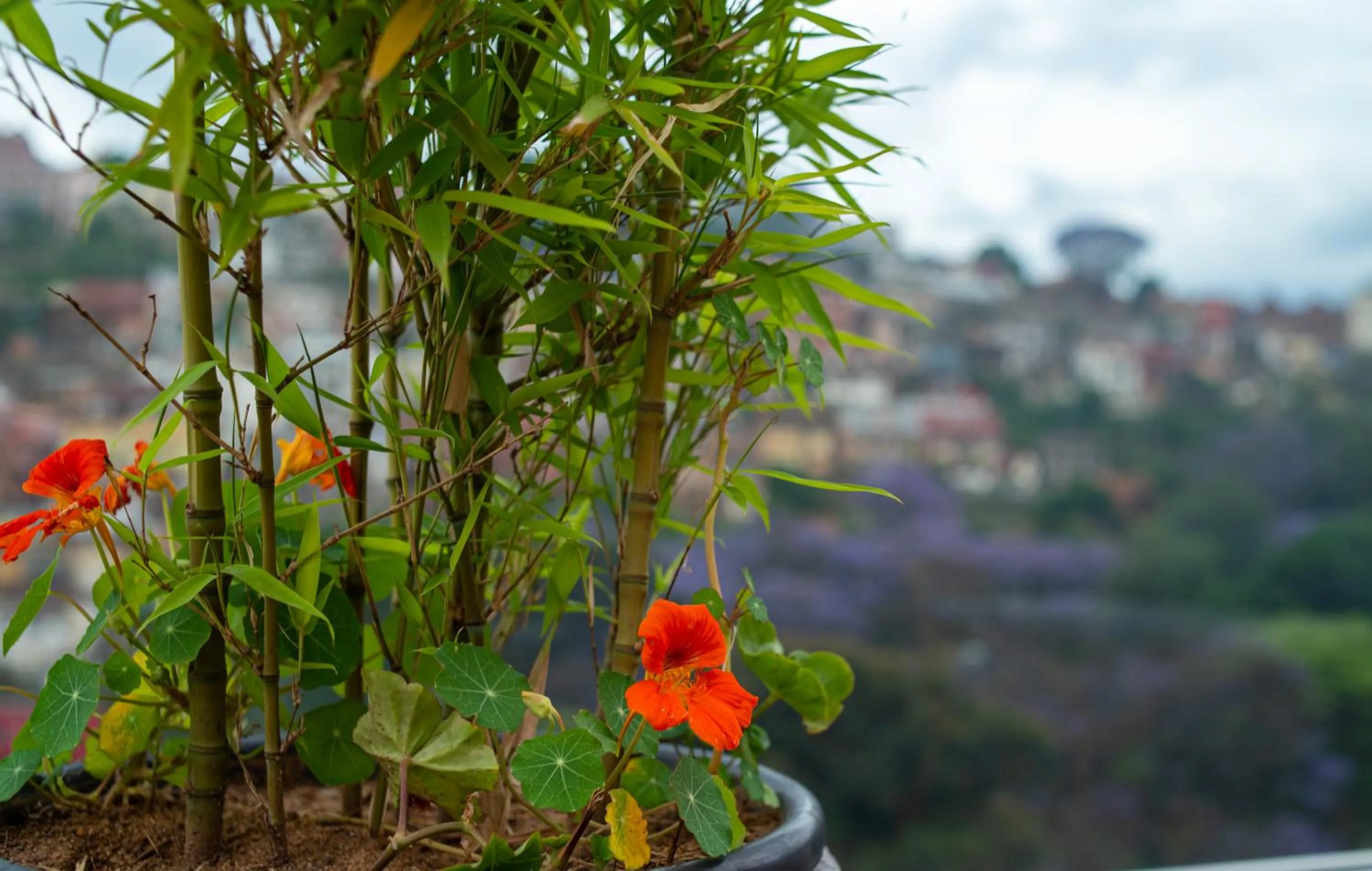 Mountain view in Radisson Serviced Apartments Antananarivo City Centre