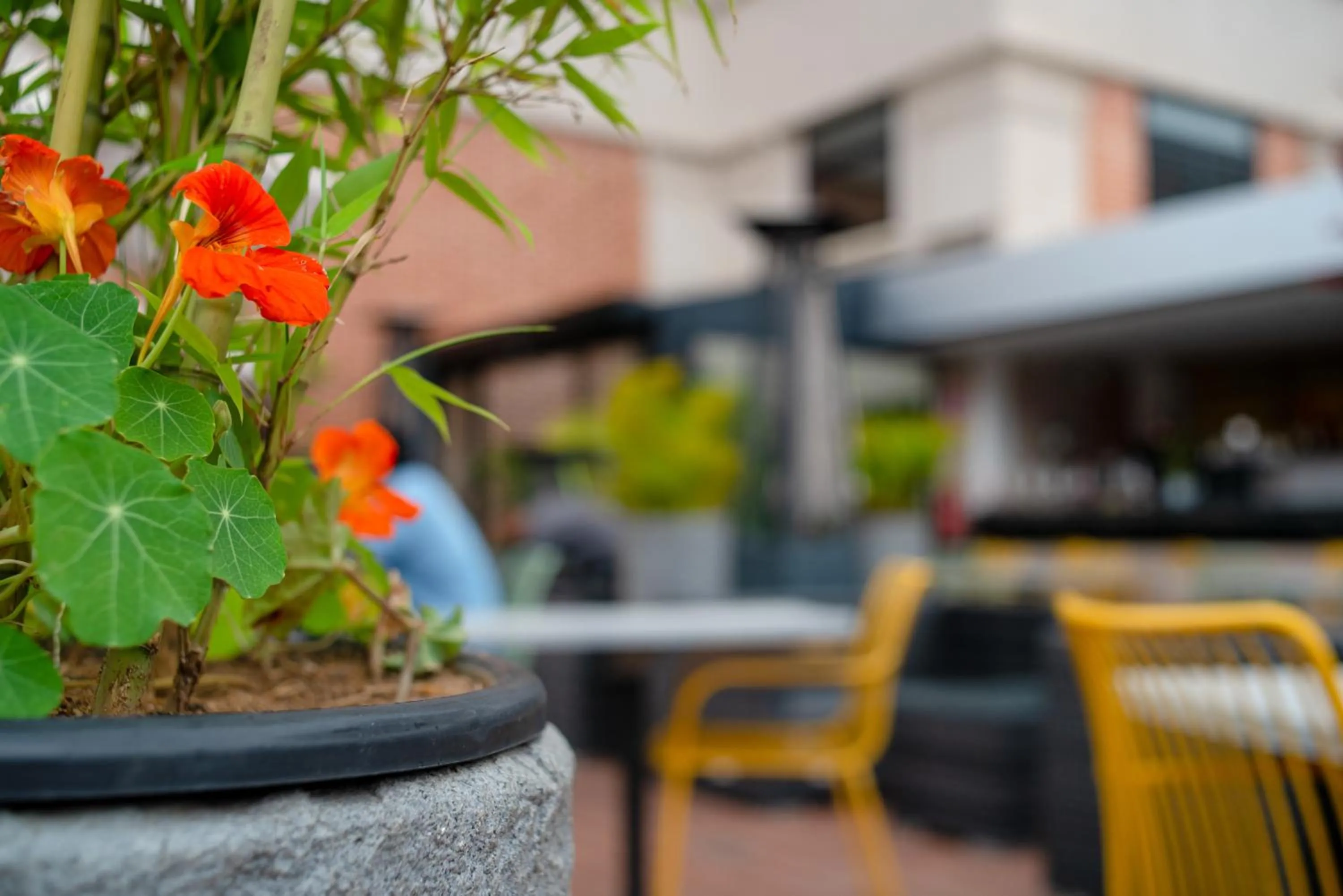 Seating area in Radisson Serviced Apartments Antananarivo City Centre