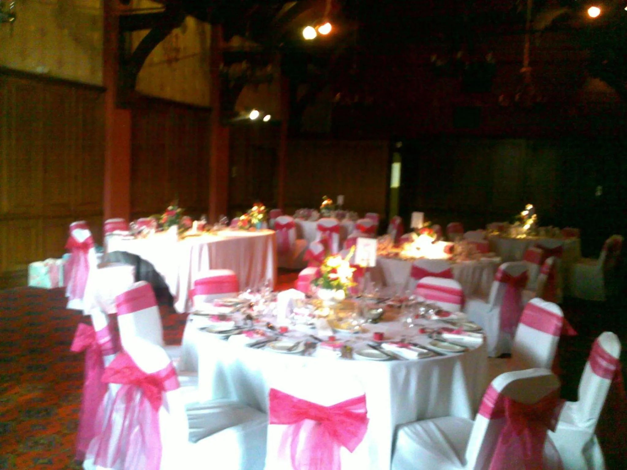 Banquet/Function facilities in Castle Hotel