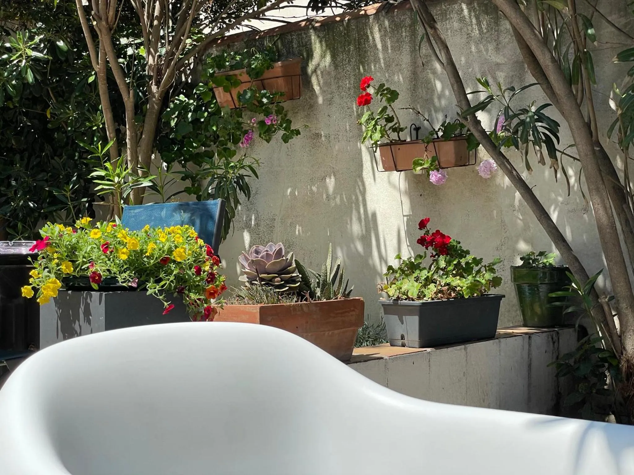 Patio in Hôtel Le Mirage