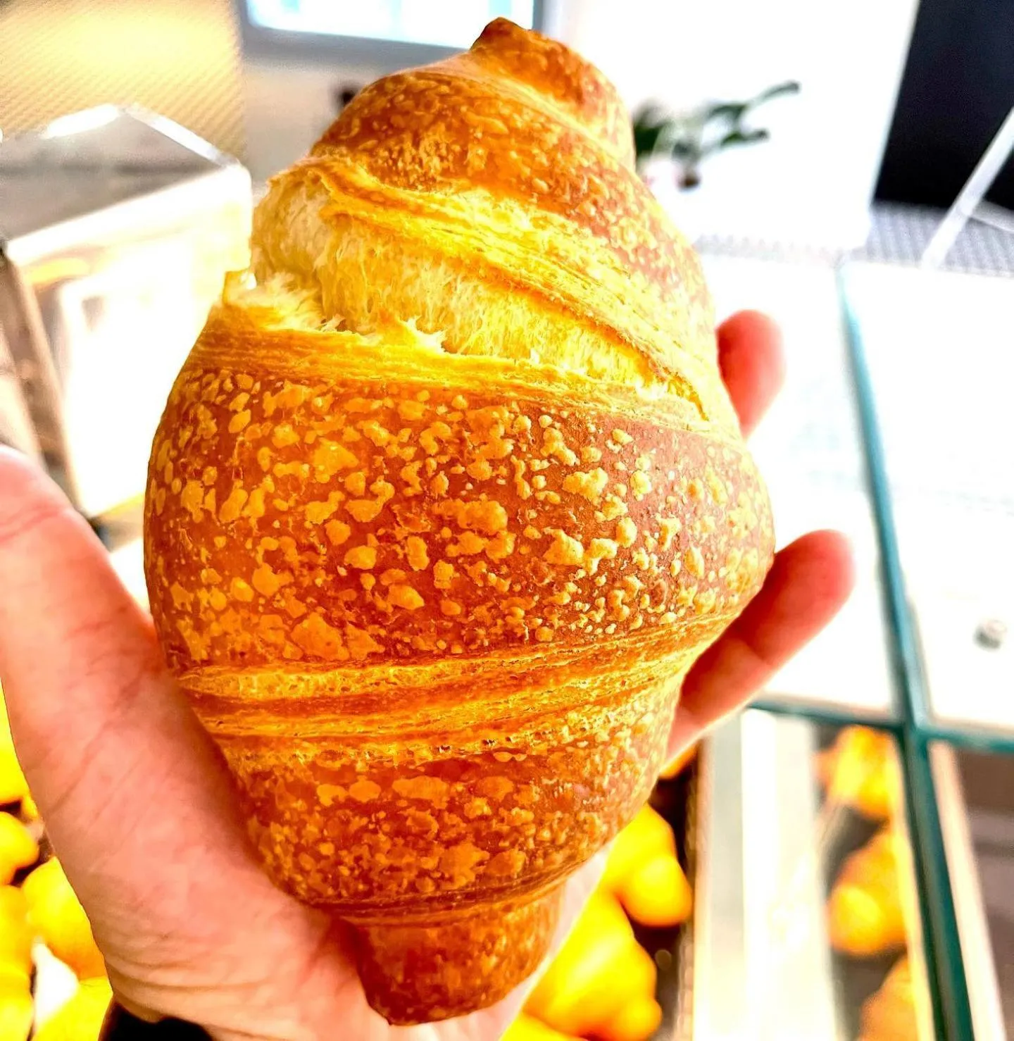 Food and drinks in Masseria Grottella