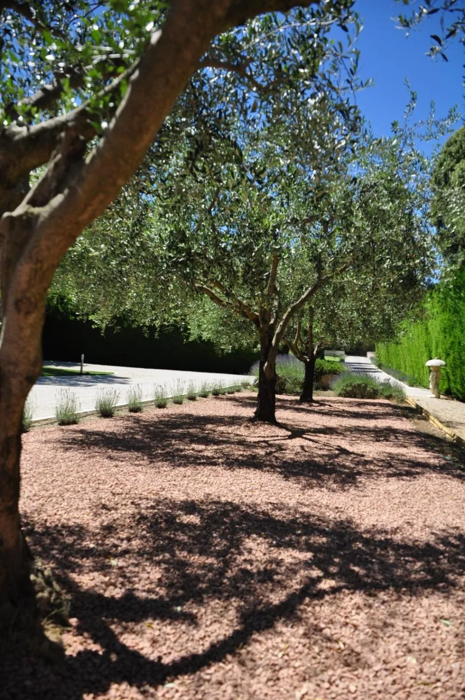 Garden in Le Jardin des Amandiers