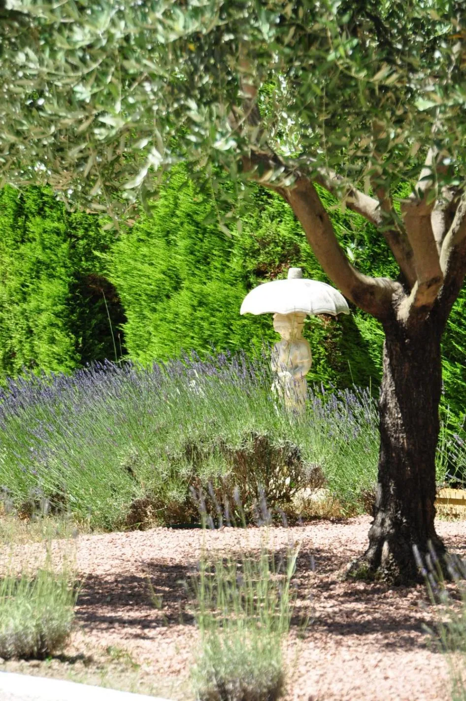 Natural landscape in Le Jardin des Amandiers