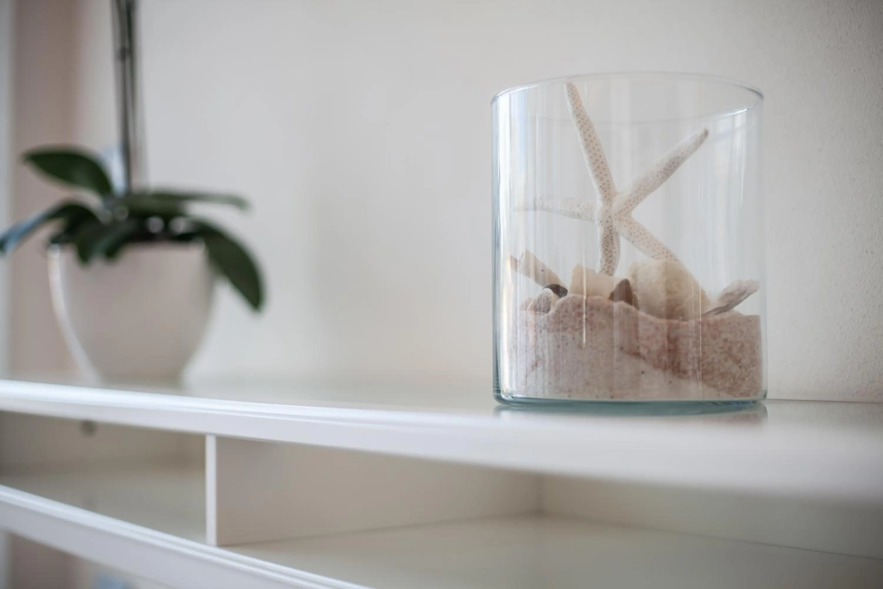 Lounge or bar in Hotel Valverde & Residenza