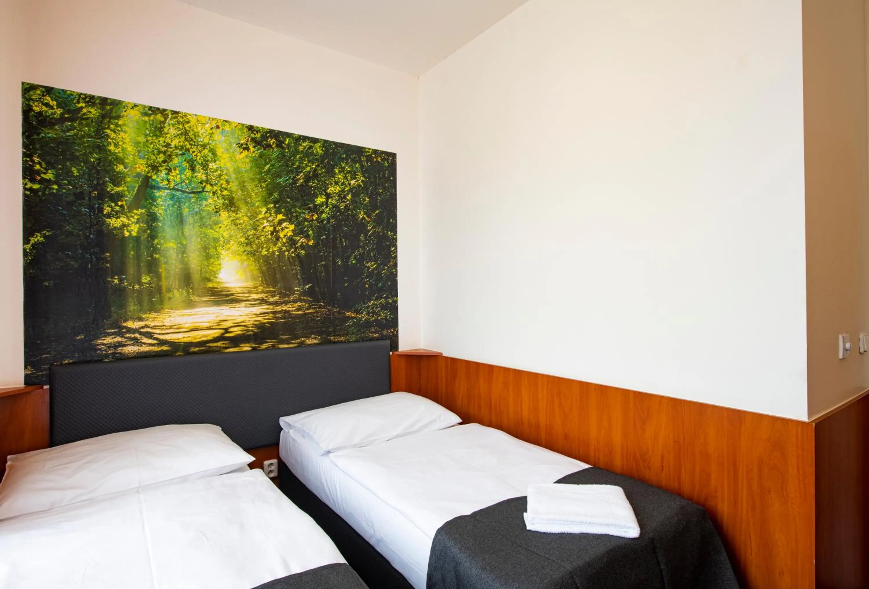 Property building, Bed in Hotel Zlatá Váha