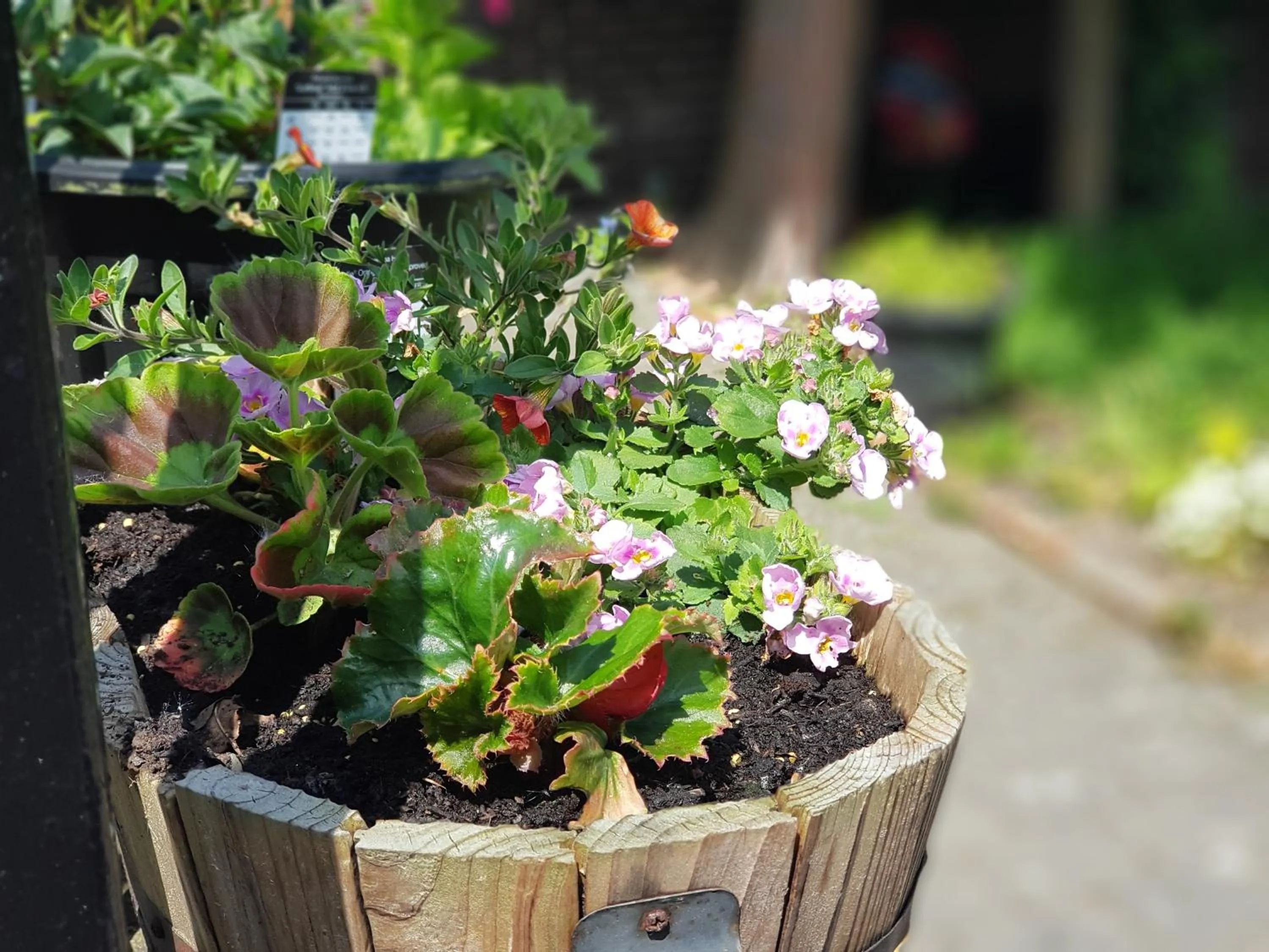 Garden in The Hand Hotel Llangollen by Compass Hospitality