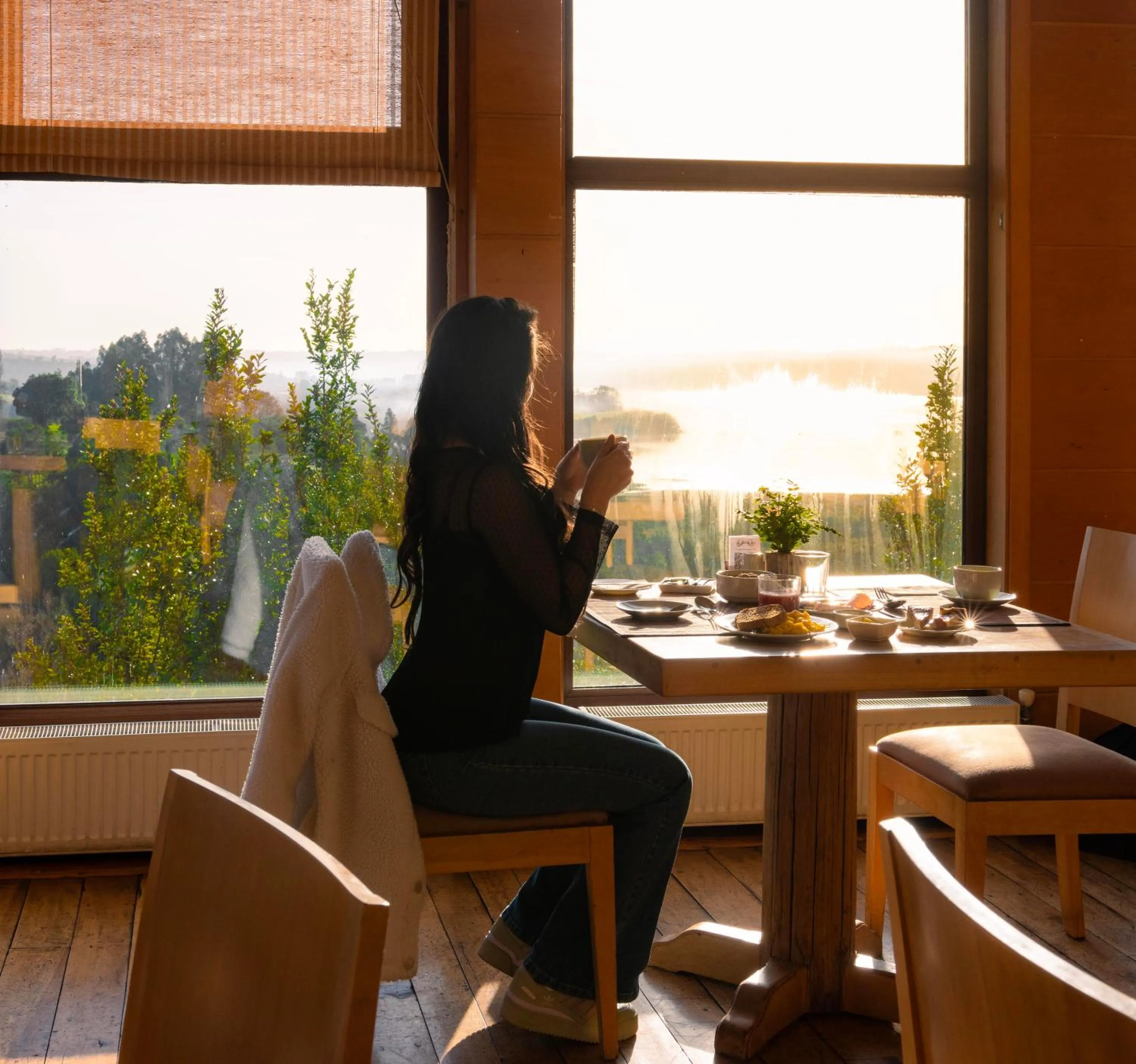 Restaurant/places to eat in Hotel Parque Quilquico